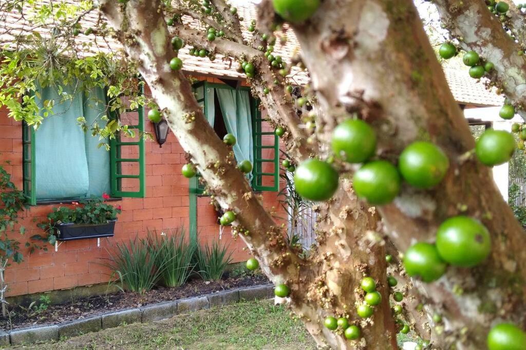 Rancho Vô João - Espaço para Momentos Incríveis