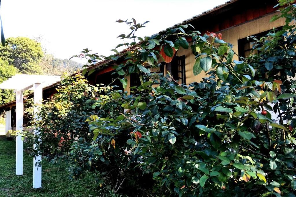 Rancho Vô João - Espaço para Momentos Incríveis