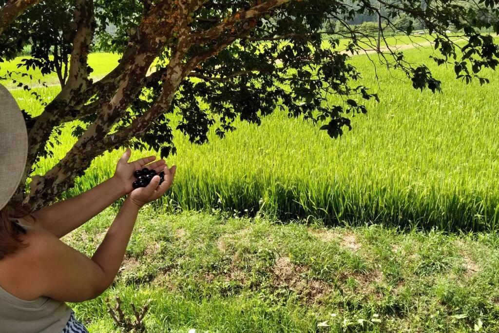 Rancho Vô João - Espaço para Momentos Incríveis