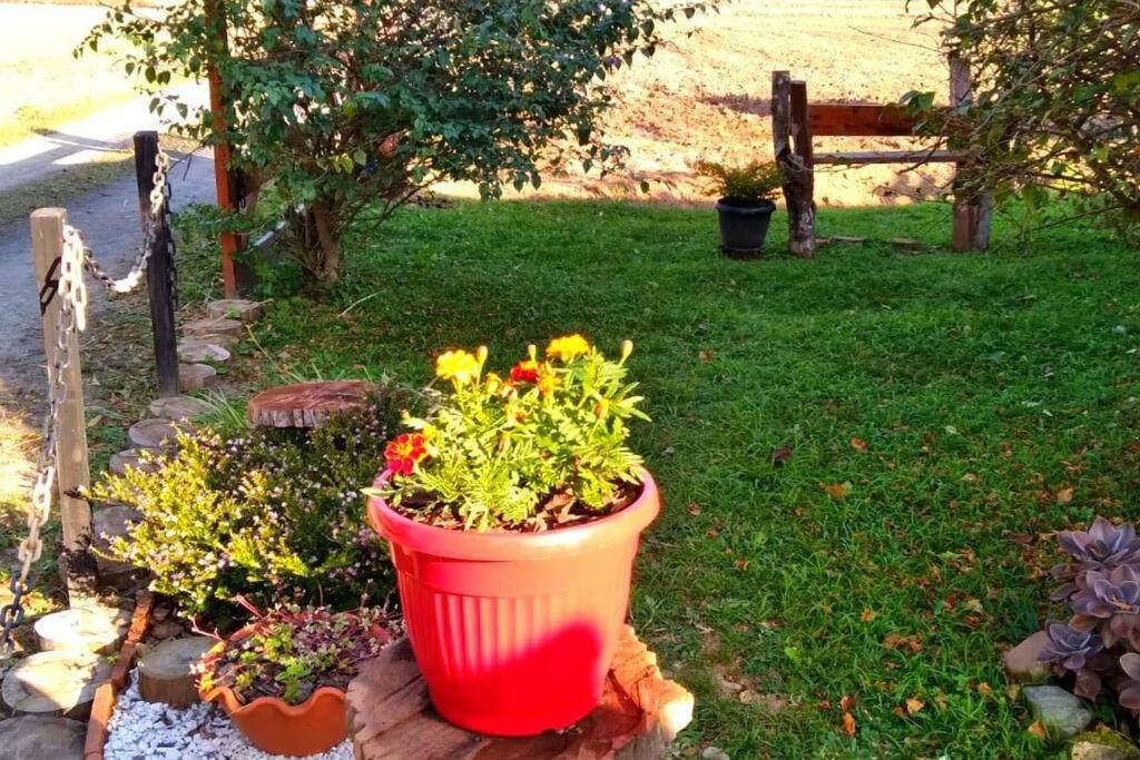 Rancho Vô João - Espaço para Momentos Incríveis