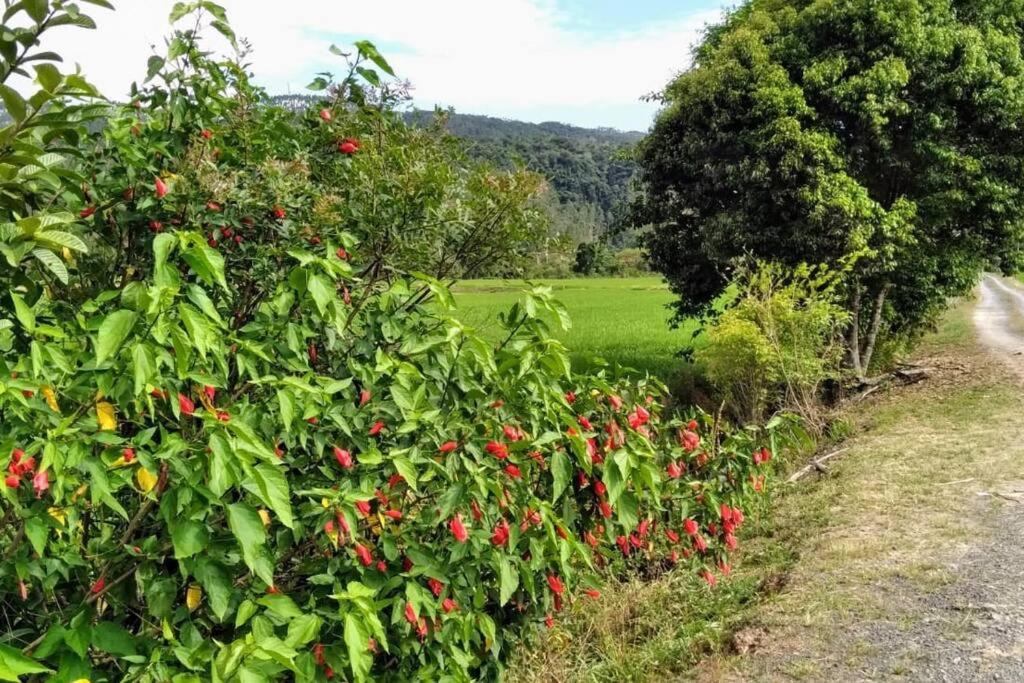 Rancho Vô João - Espaço para Momentos Incríveis