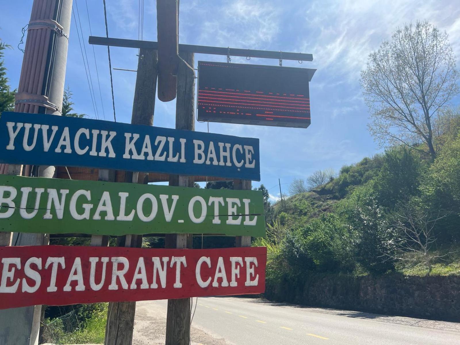 Photo 44