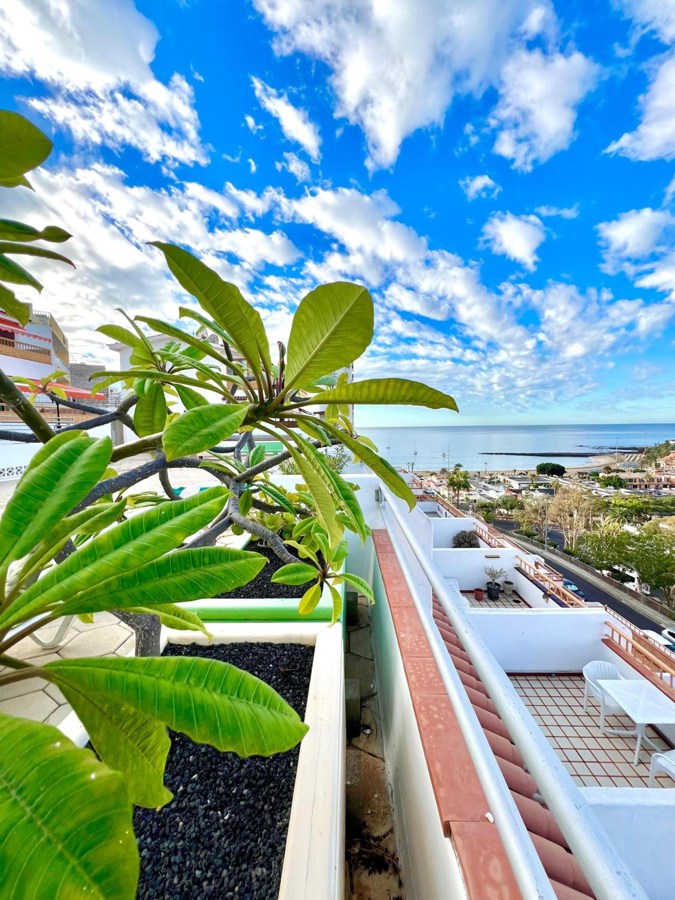 Las Vistas Dream