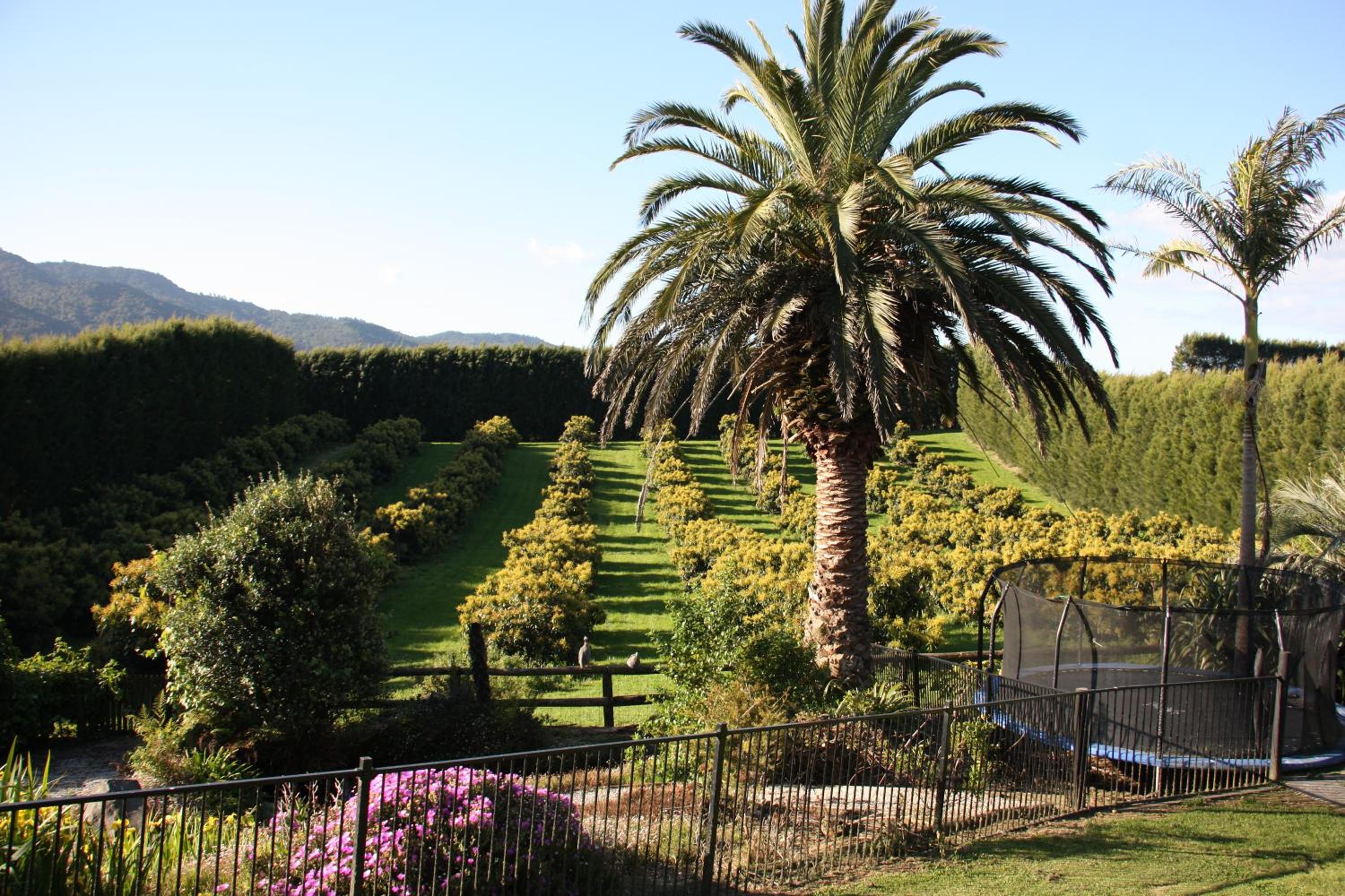 Avocado Orchard Escape Katikati