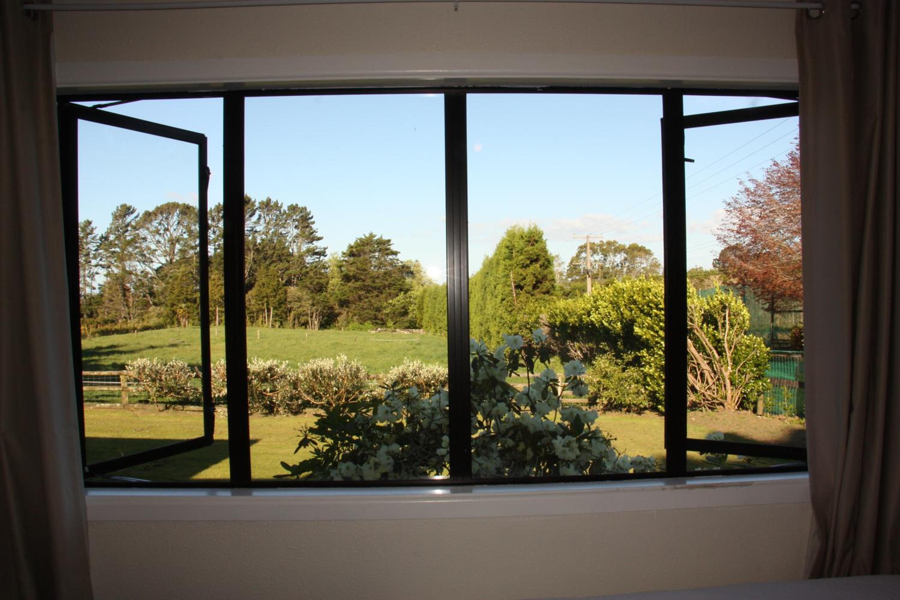 Avocado Orchard Escape Katikati