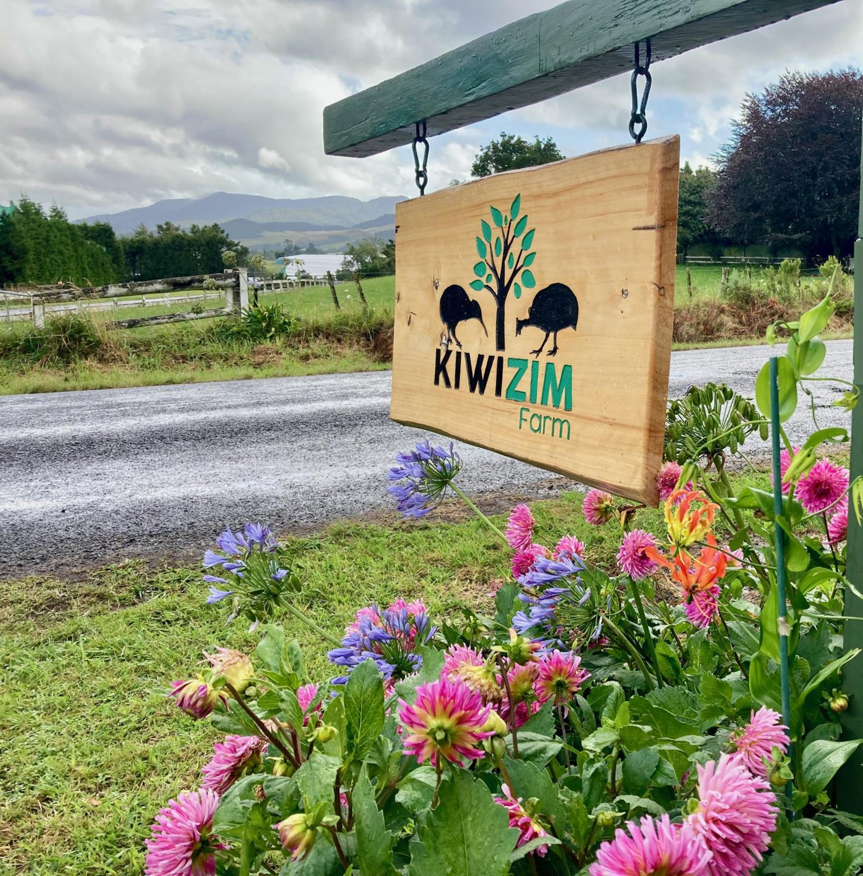 Avocado Orchard Escape Katikati