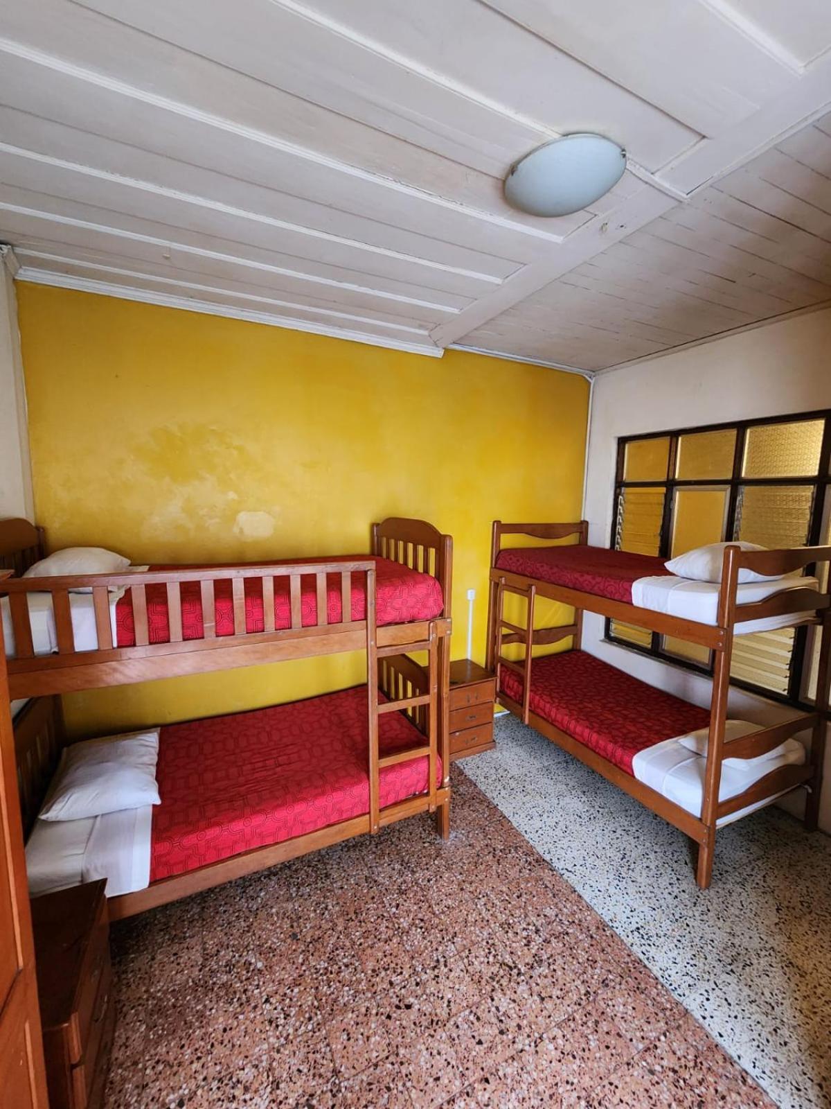 Flying Dog Hostel Iquitos, photo 31