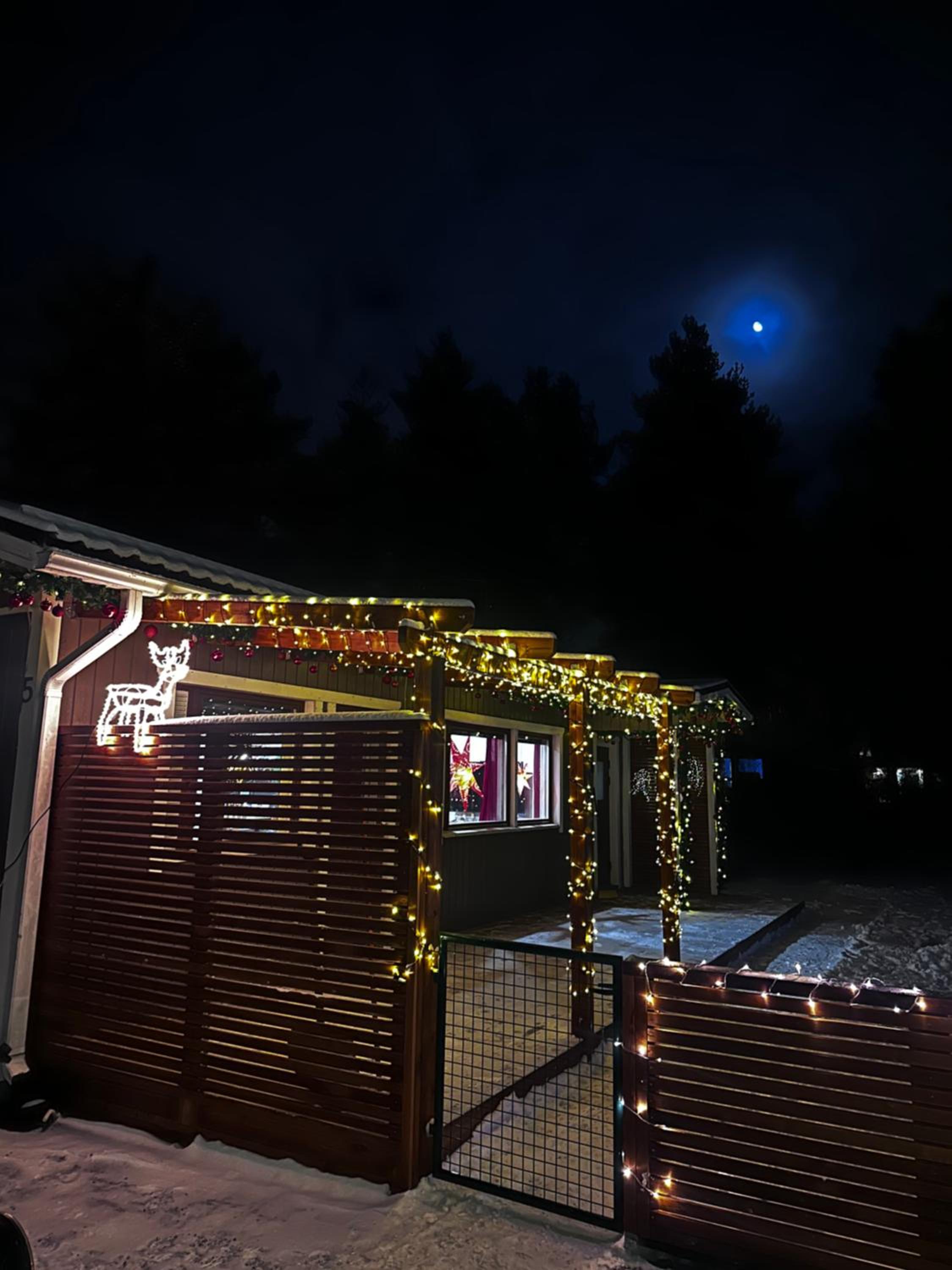 Reindeer Nest