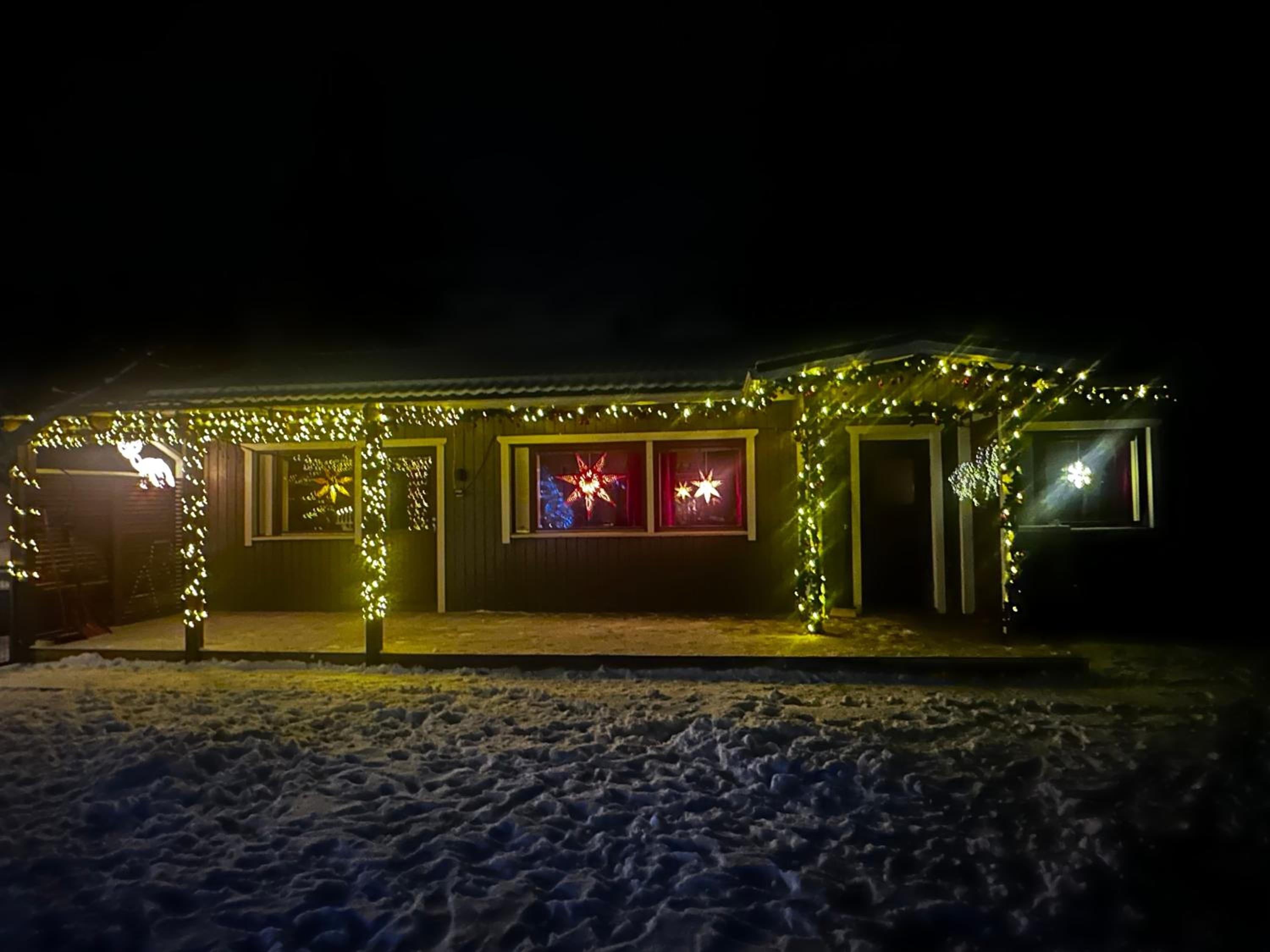 Reindeer Nest