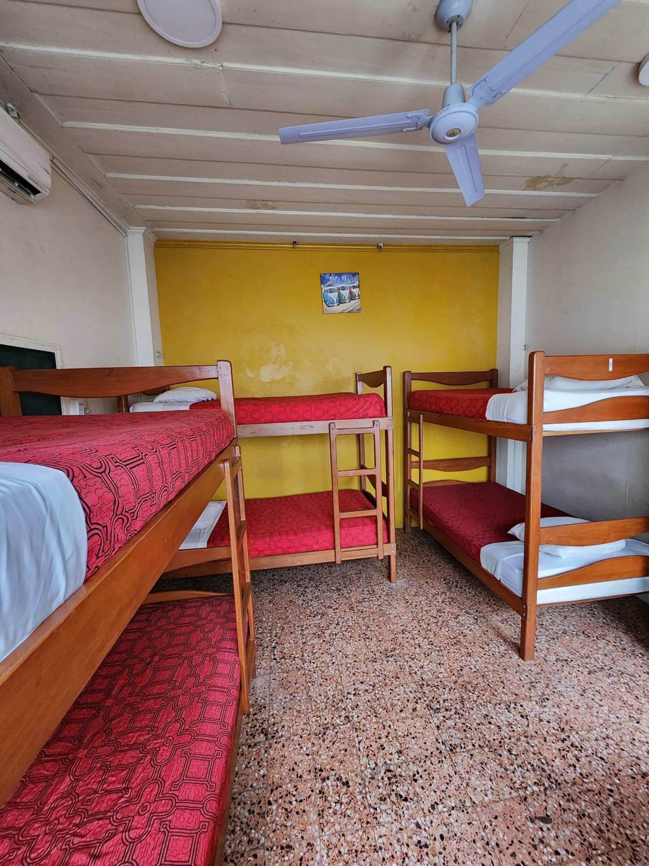Flying Dog Hostel Iquitos, photo 20