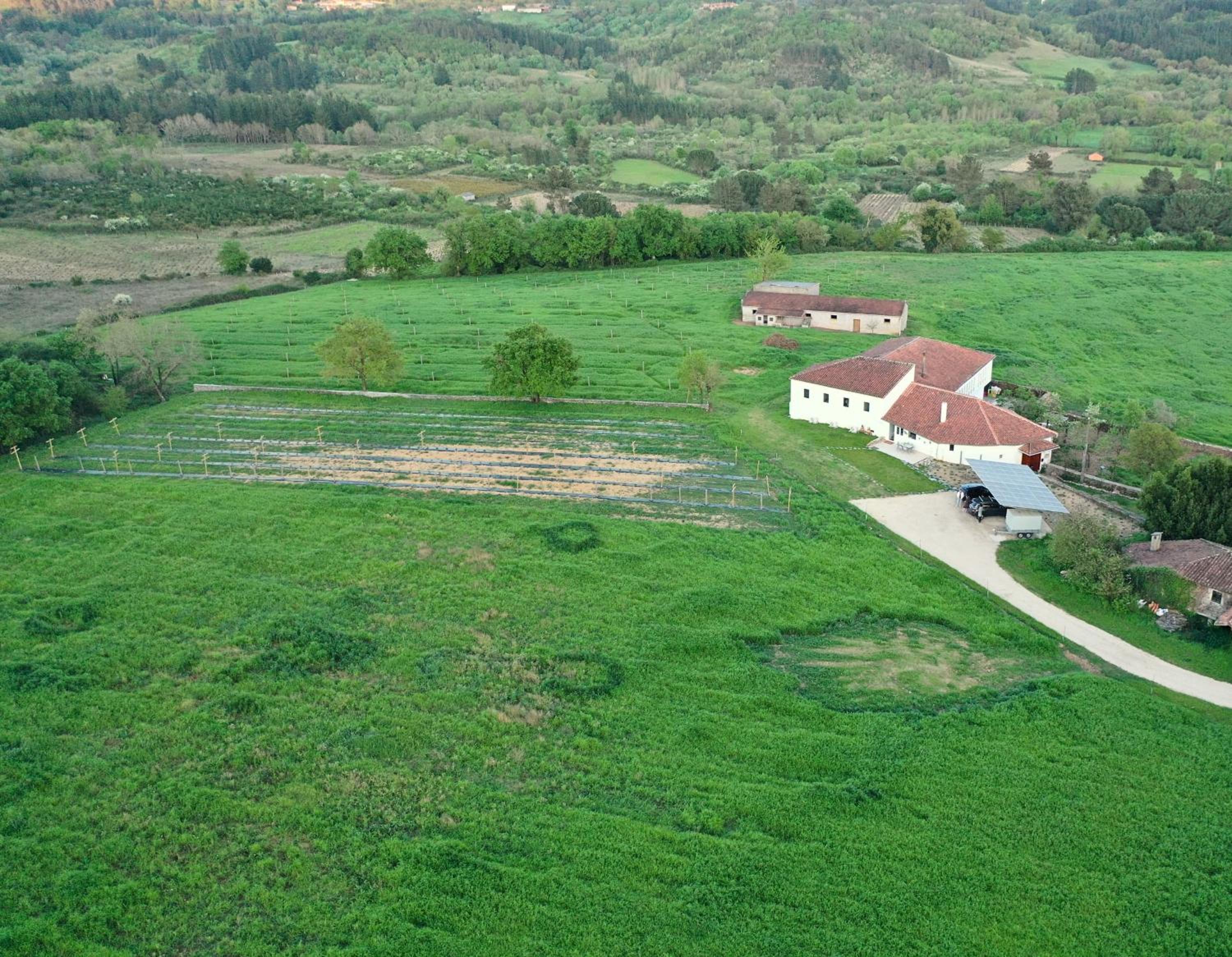 Casa Mato