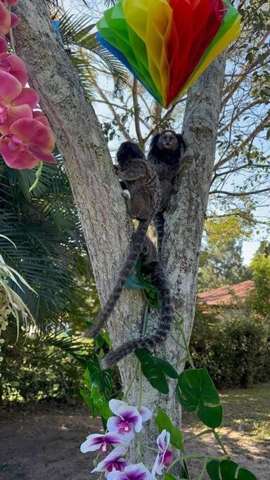 Casa 5 dormitórios - Iguaba - Região dos Lagos