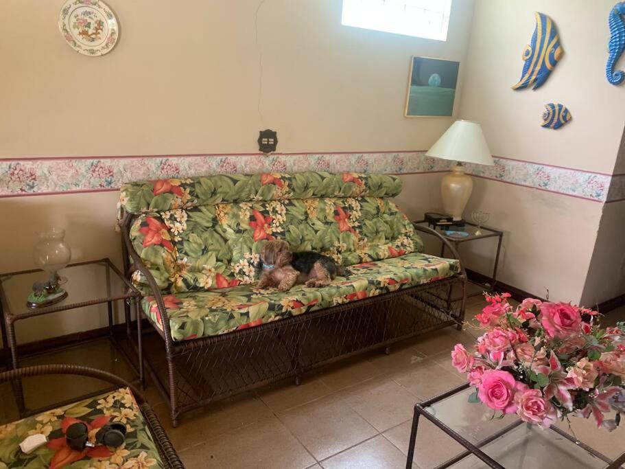 Casa 5 dormitórios - Iguaba - Região dos Lagos