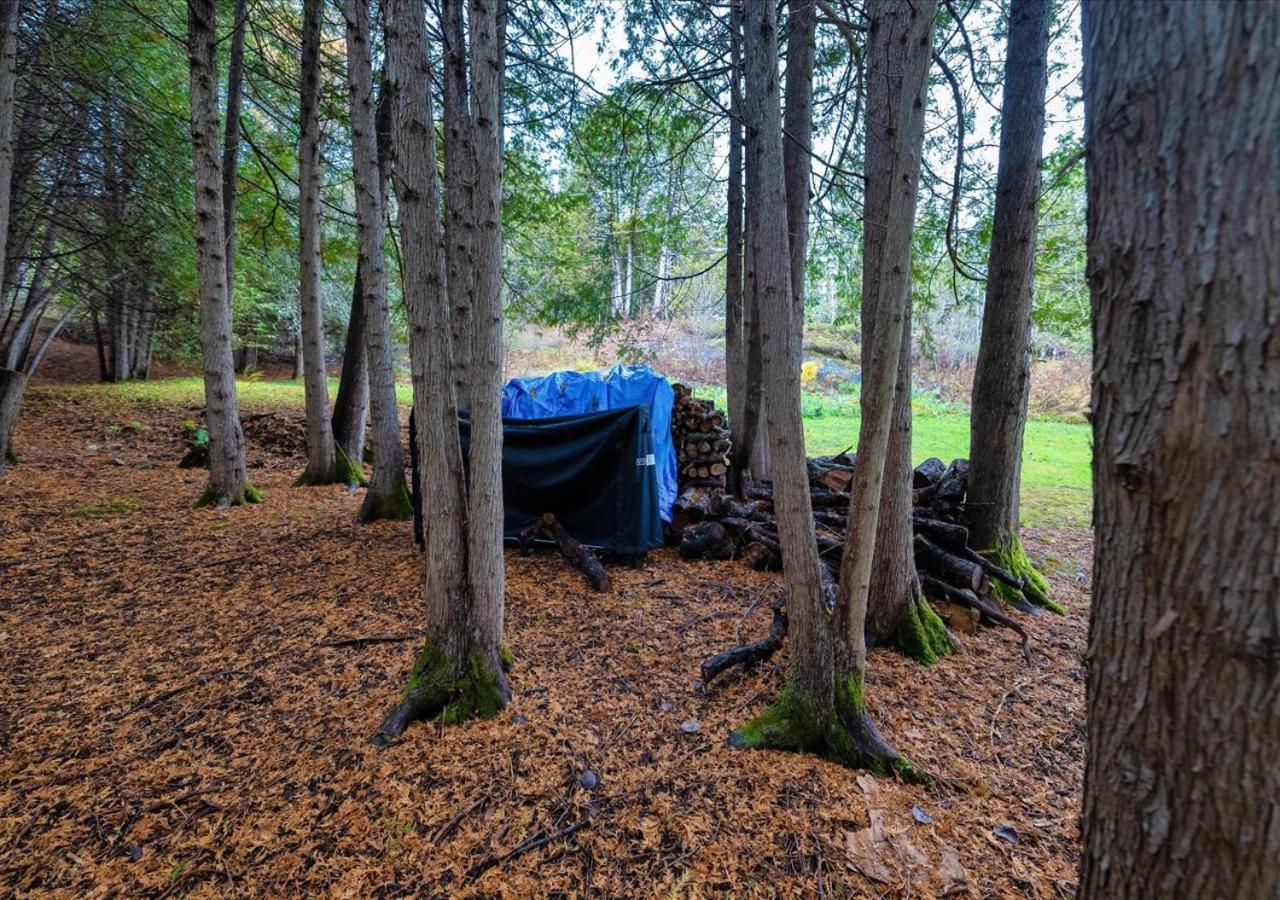 Snugly Valley -Waterfront at Ompah, North Frontenac, Ontario near Bon Echo