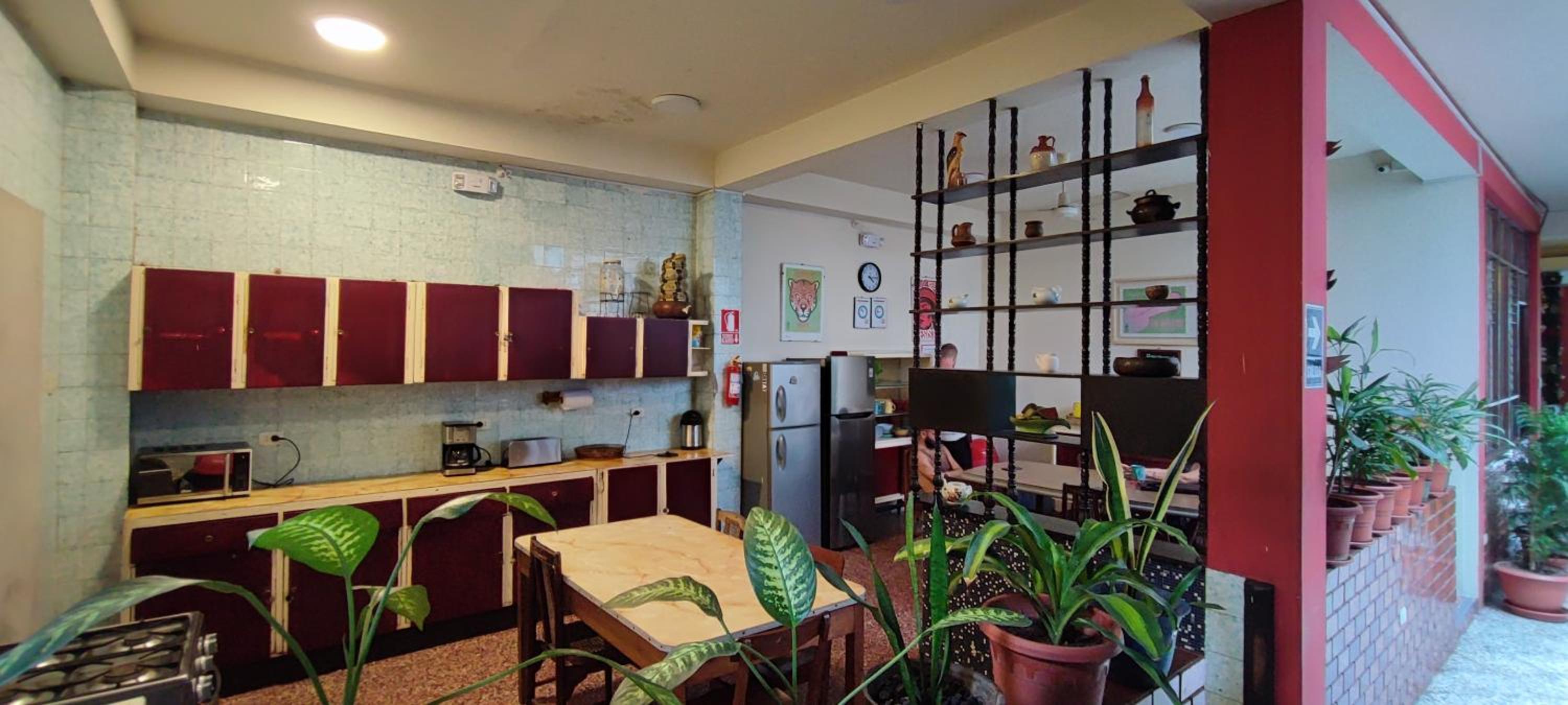 Flying Dog Hostel Iquitos, photo 64