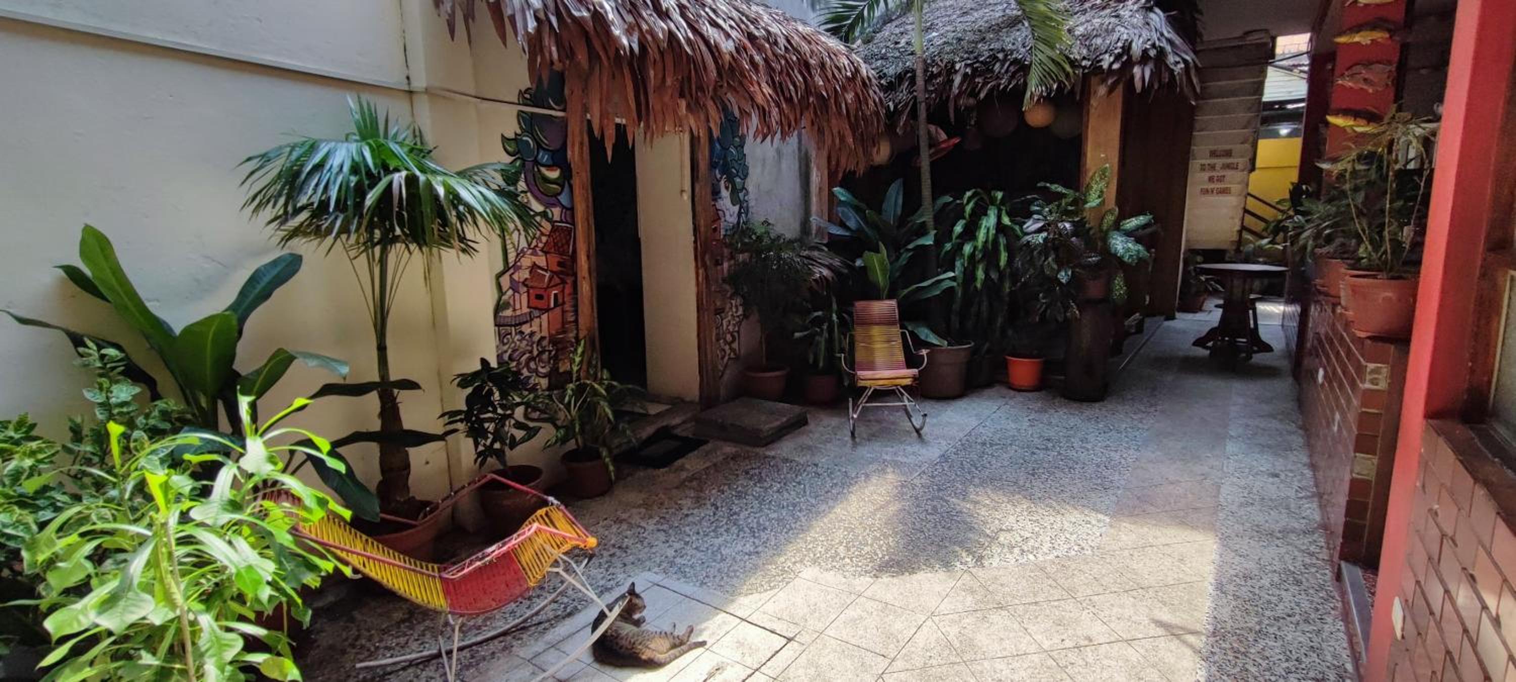 Flying Dog Hostel Iquitos, photo 51