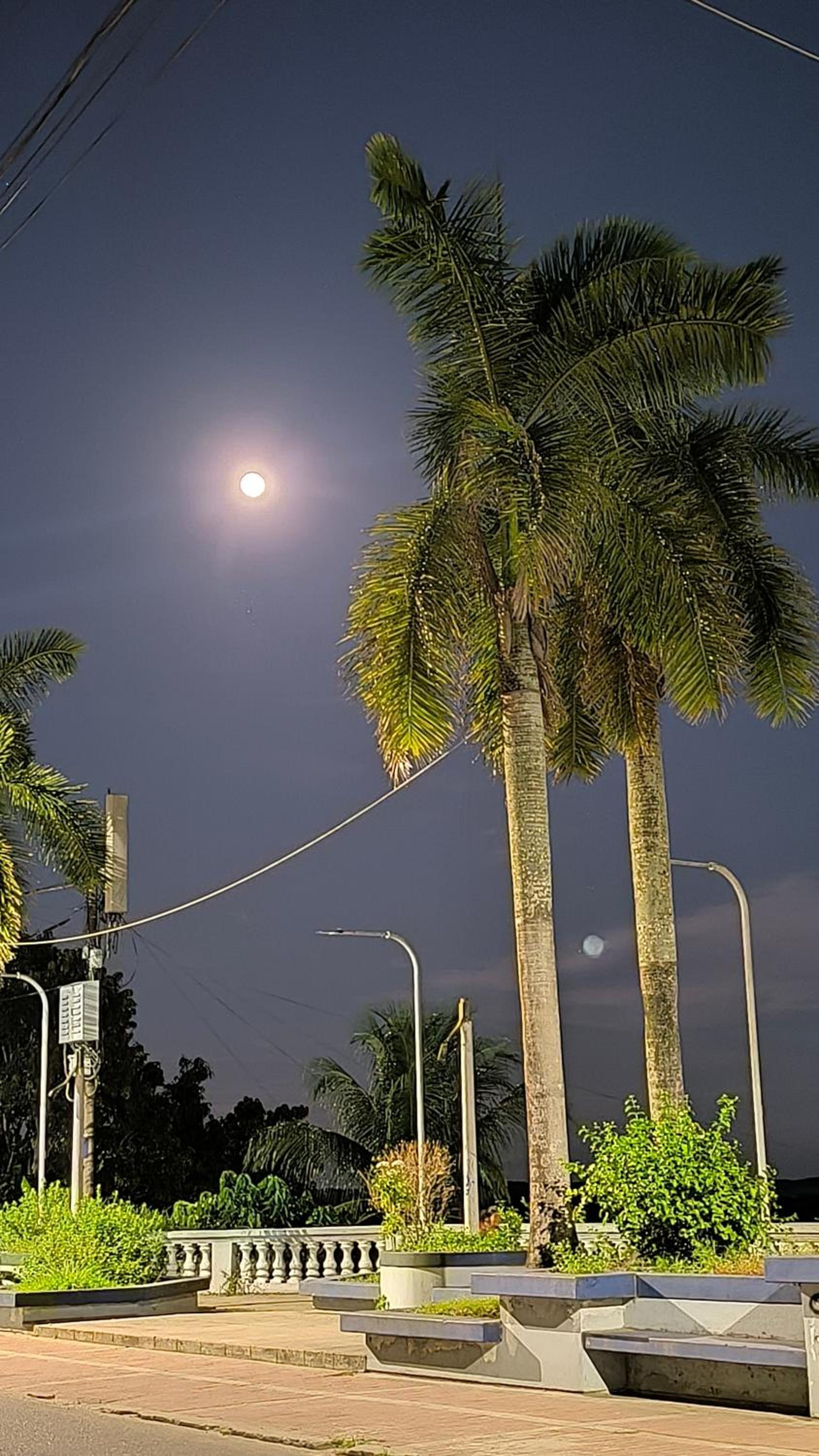 Flying Dog Hostel Iquitos, photo 9
