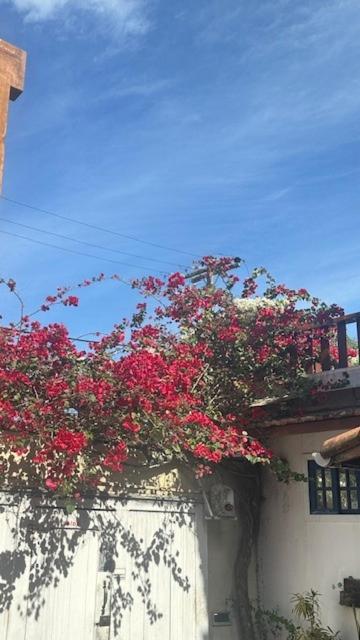 Pousada Casa das Rosas