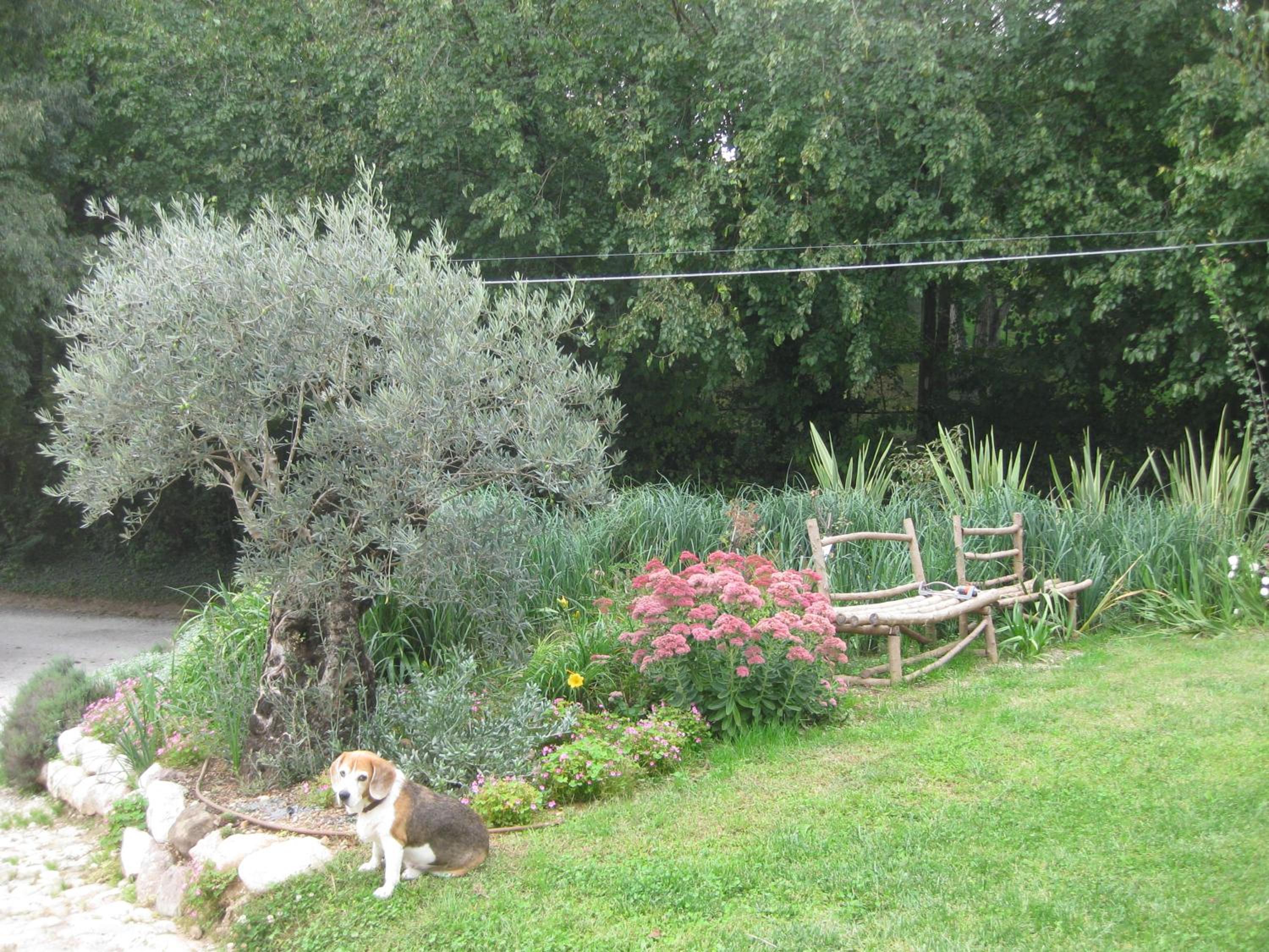 Photo 38
