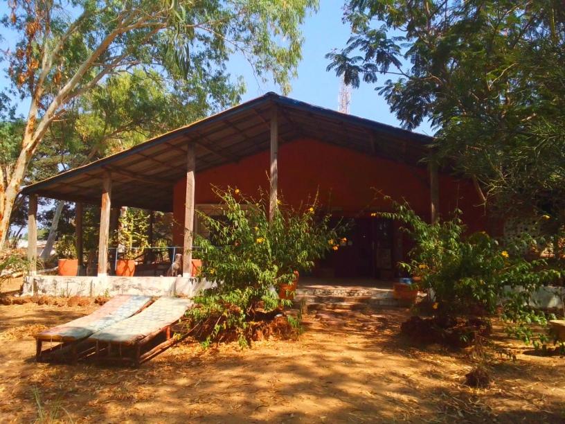 Lemon fish lodge