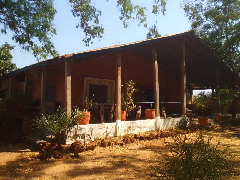Lemon fish lodge