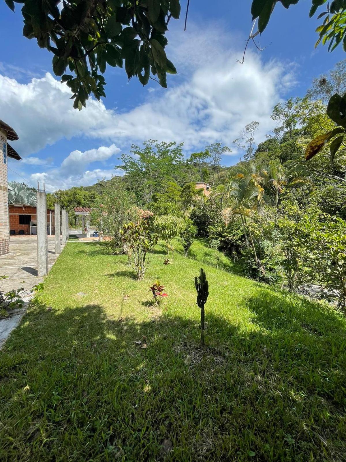 Finca Kikua