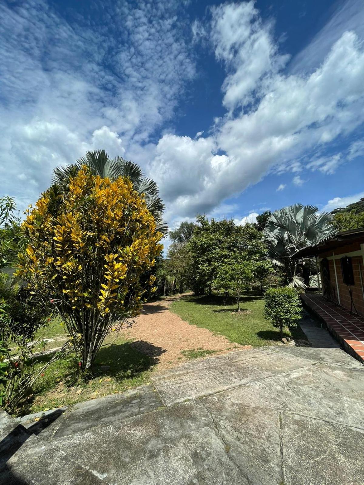 Finca Kikua
