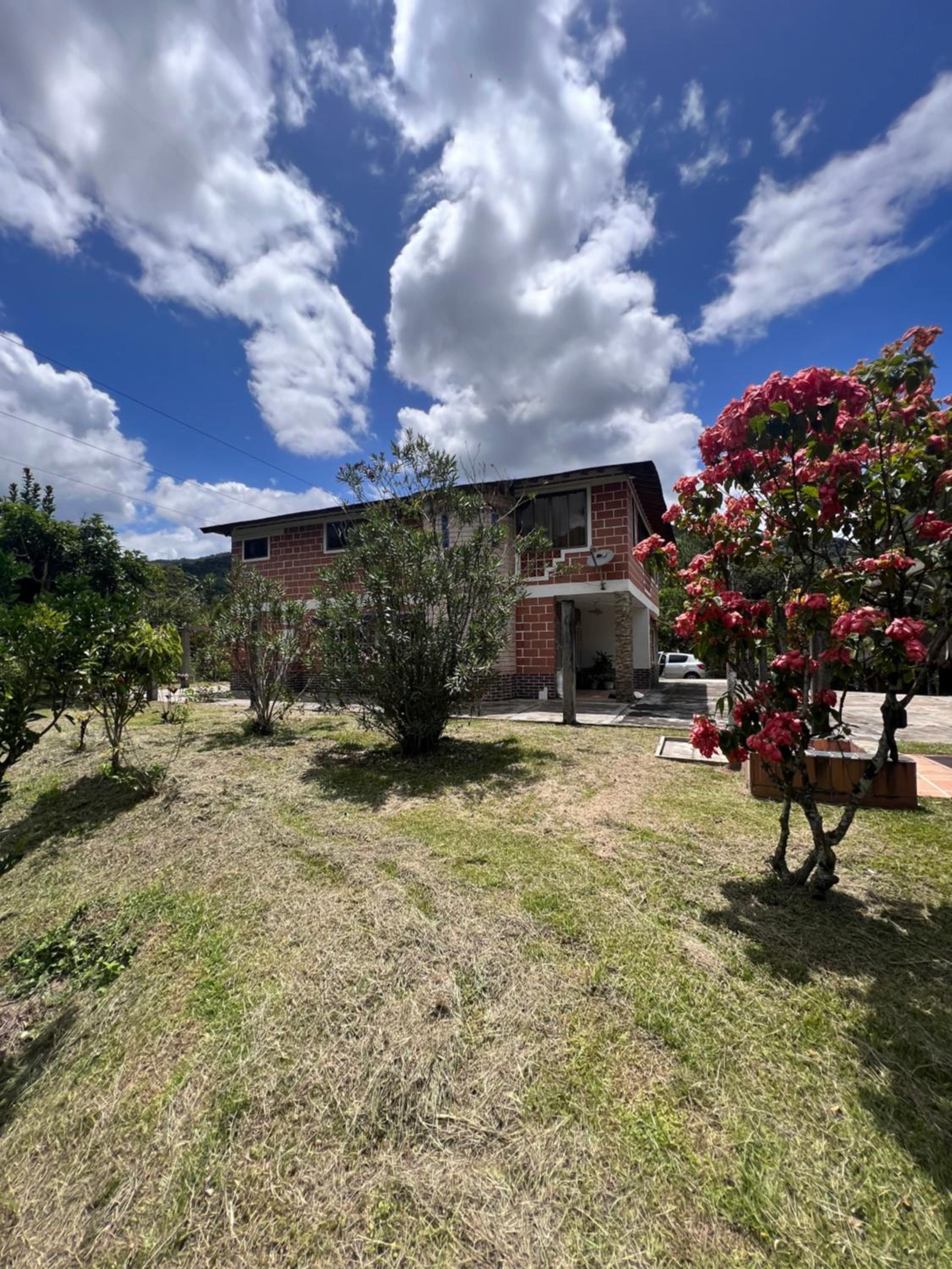 Finca Kikua