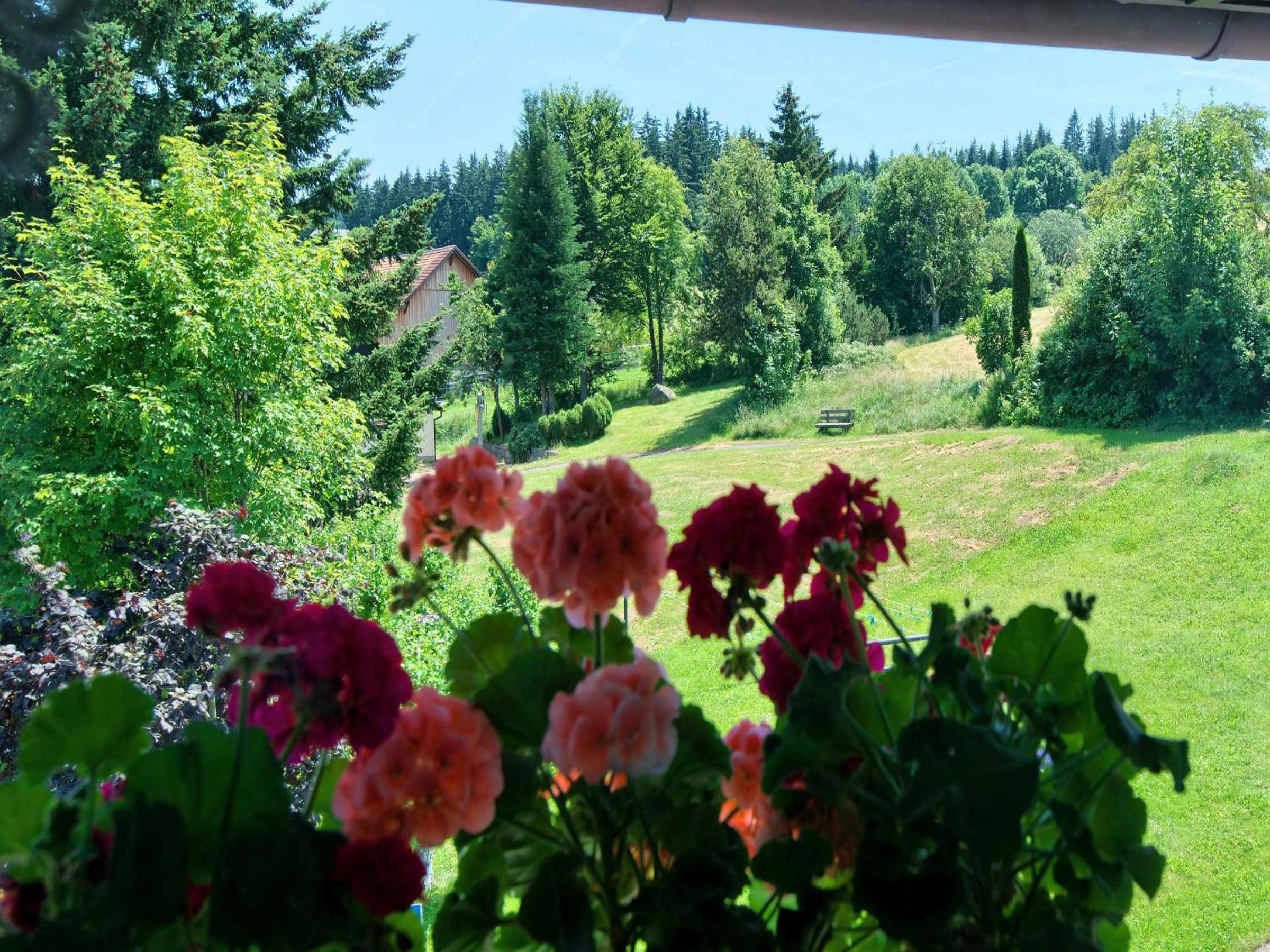 Gasthaus-pension zum Löwen