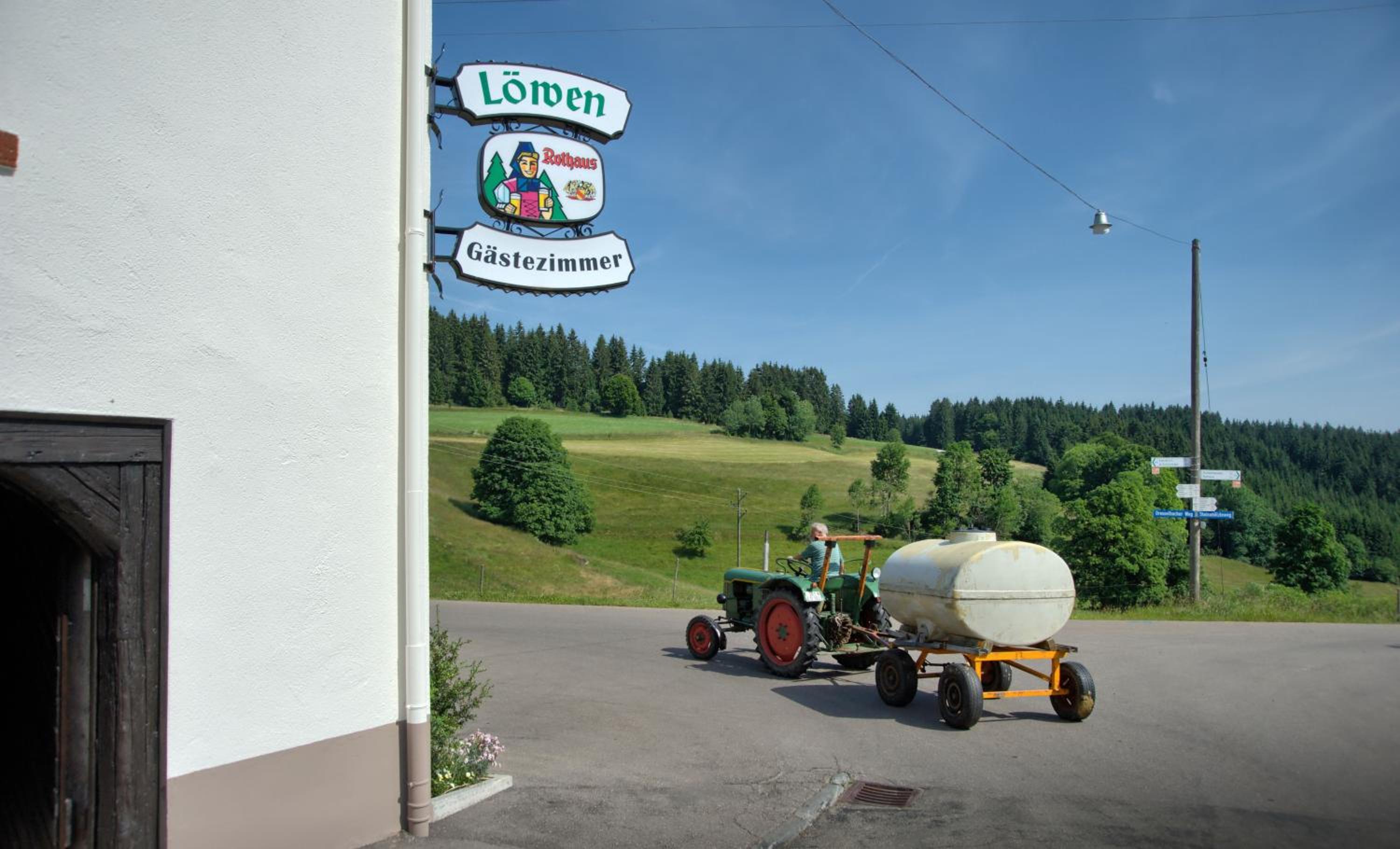 Gasthaus-pension zum Löwen