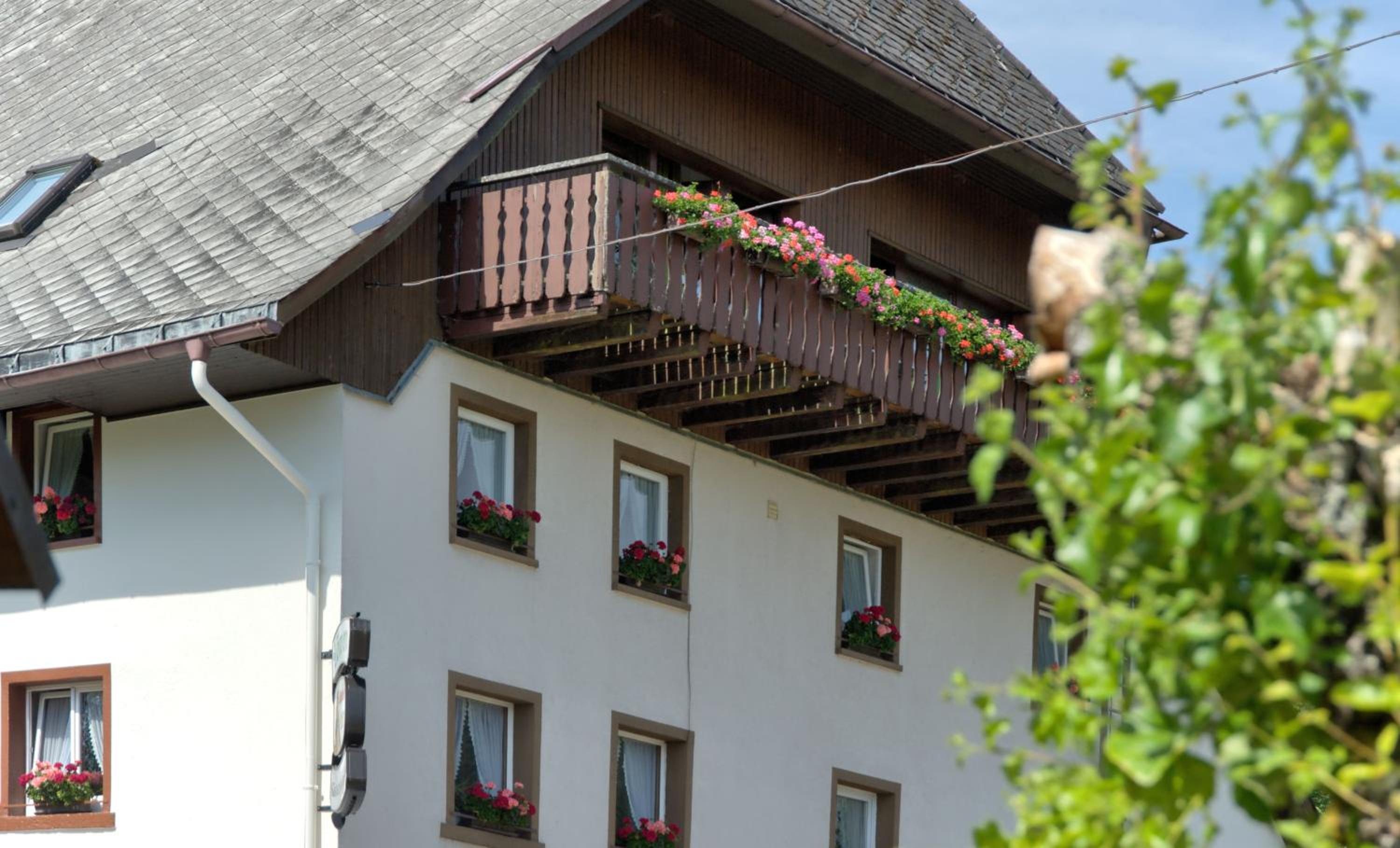 Gasthaus-pension zum Löwen