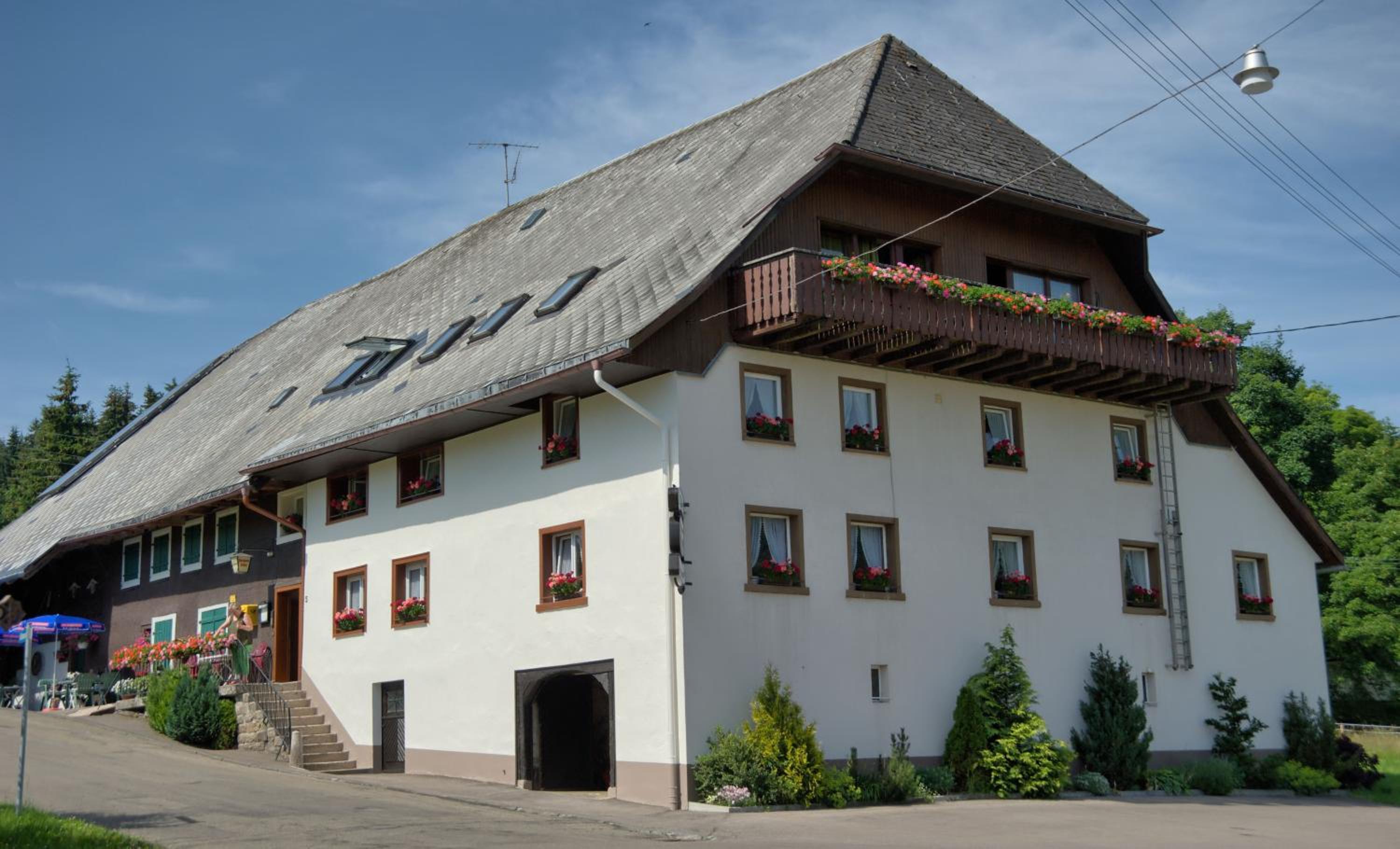 Gasthaus-pension zum Löwen