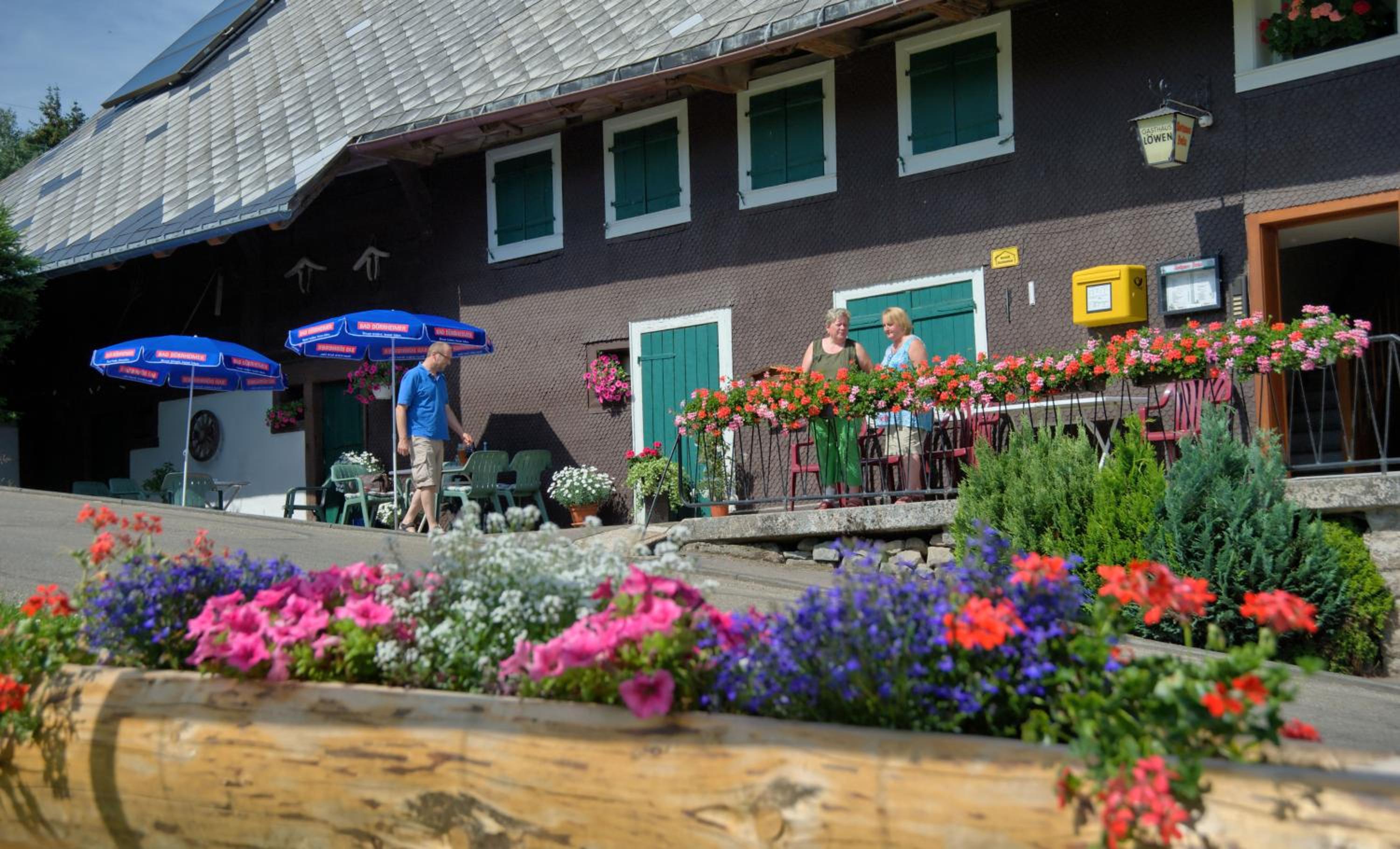 Gasthaus-pension zum Löwen