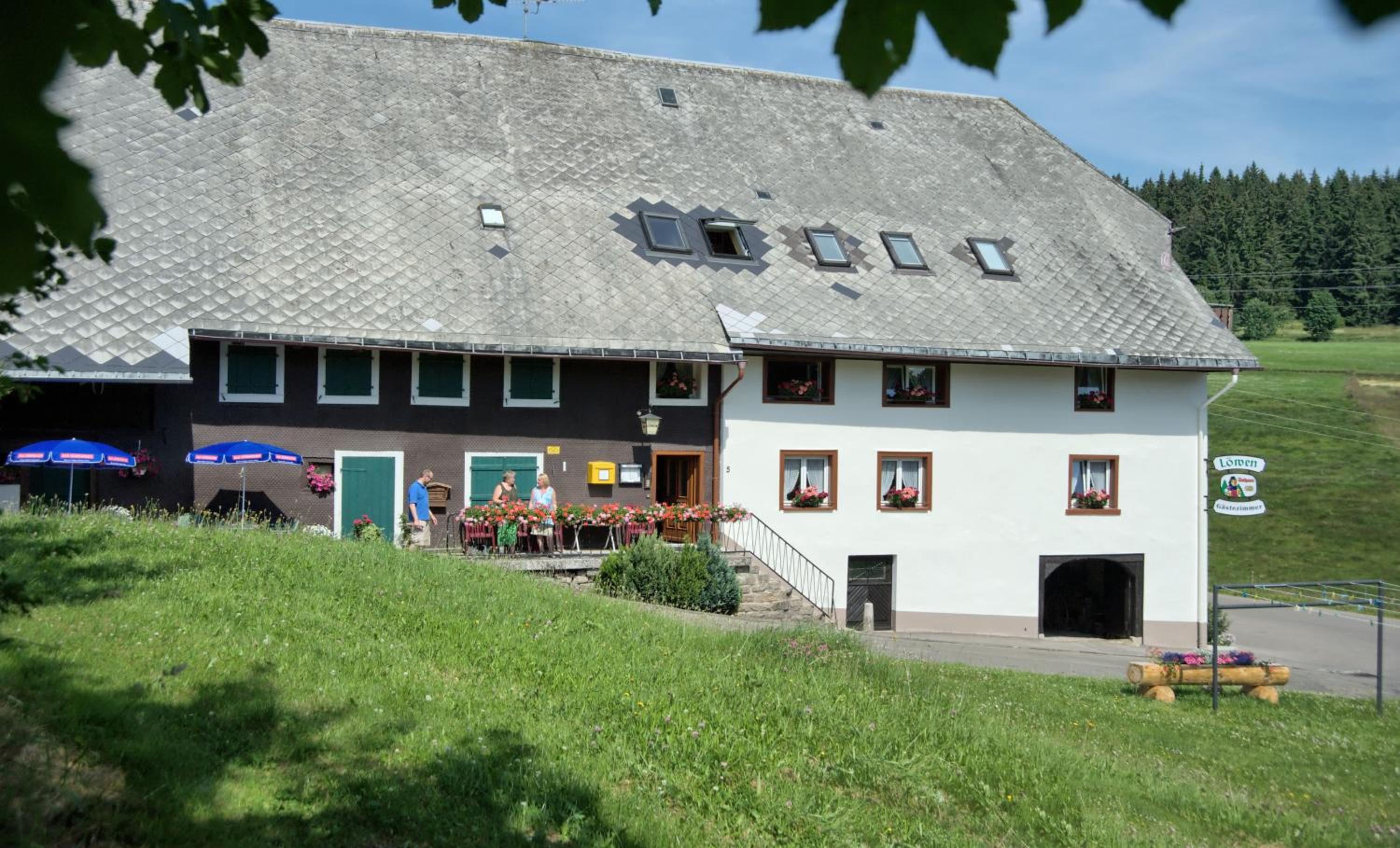Gasthaus-pension zum Löwen
