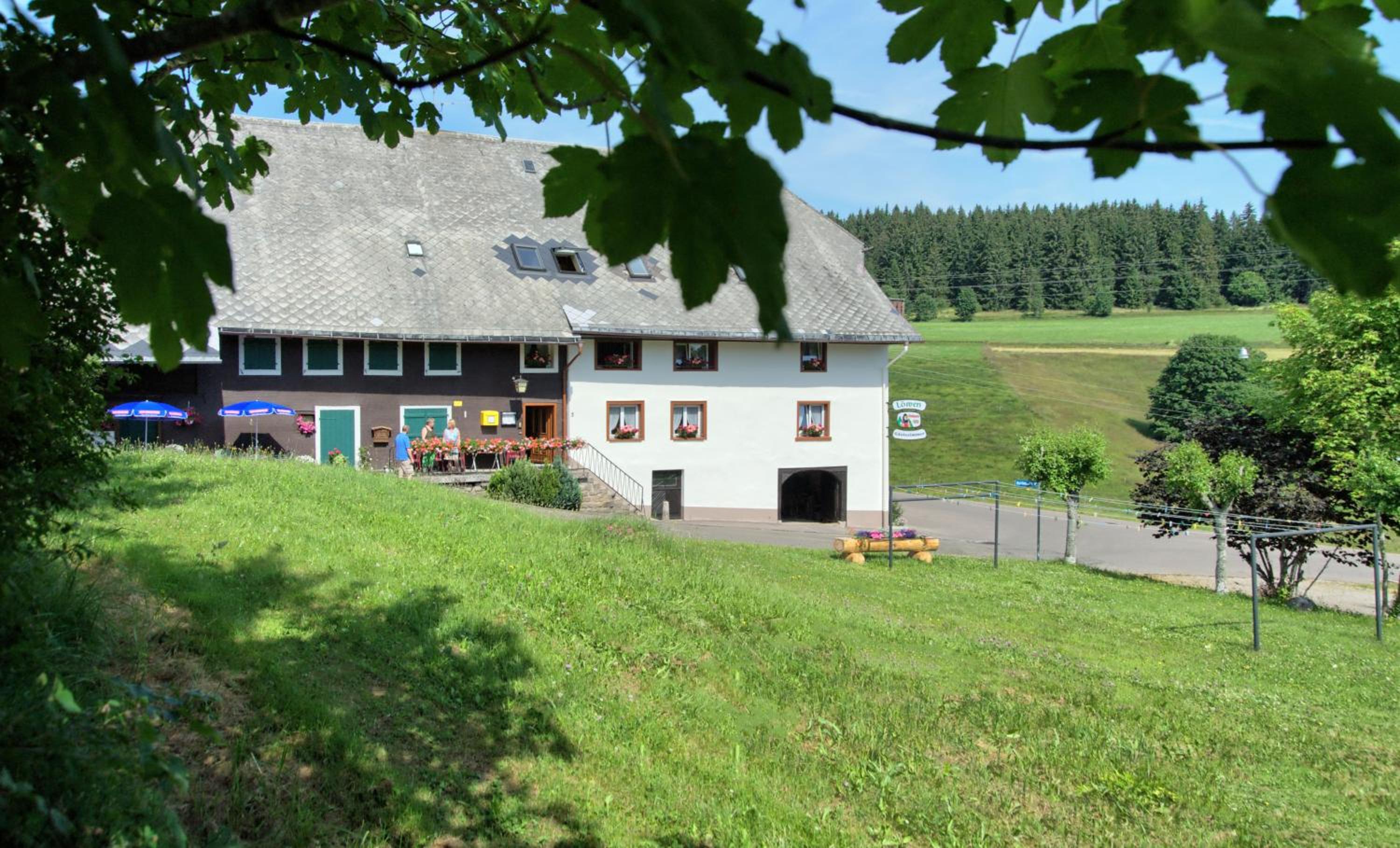Gasthaus-pension zum Löwen