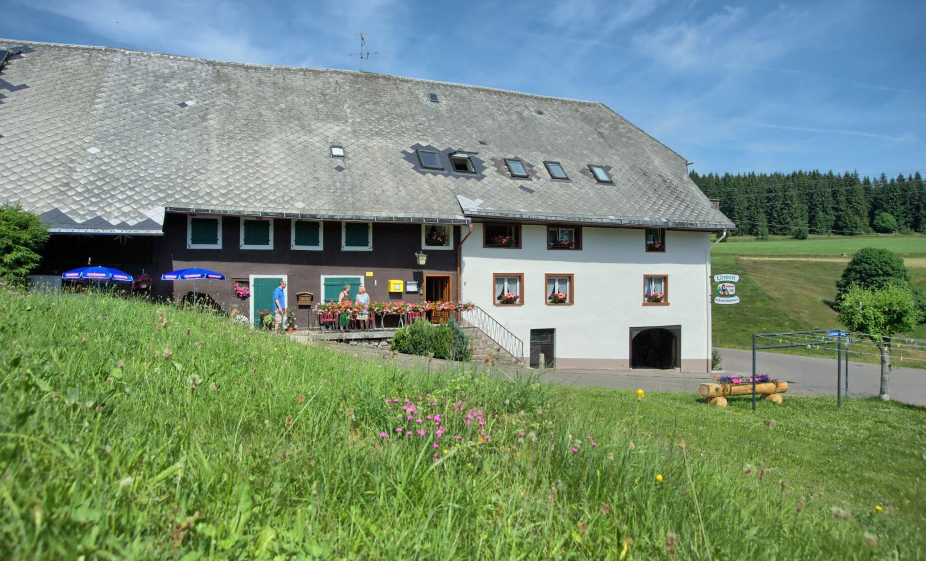 Gasthaus-pension zum Löwen