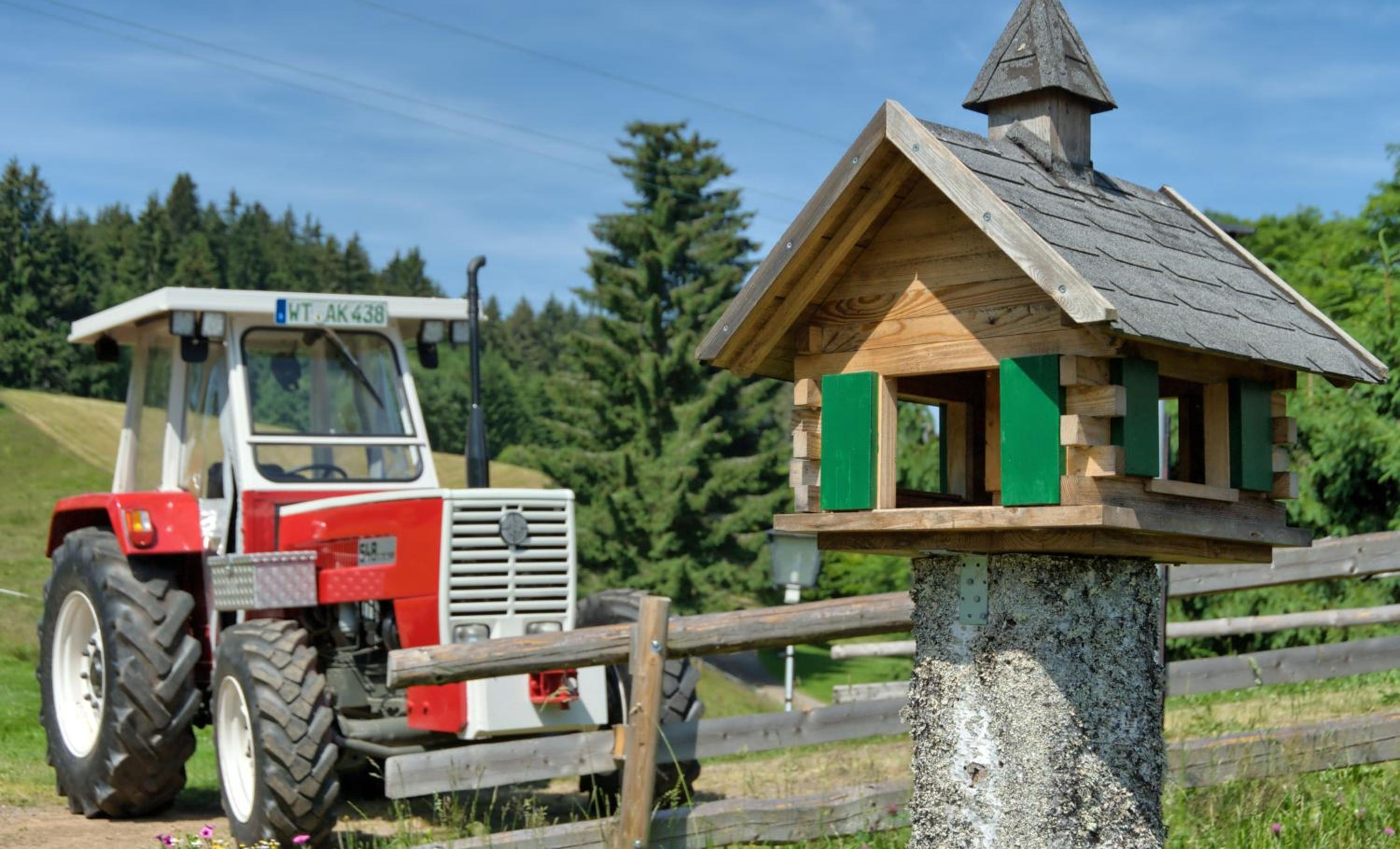 Gasthaus-pension zum Löwen