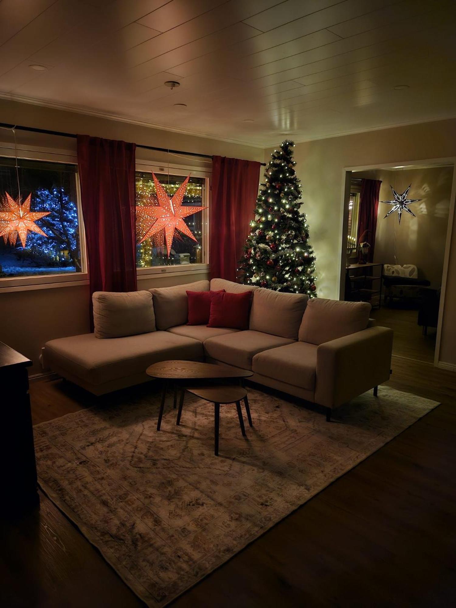 Reindeer Nest