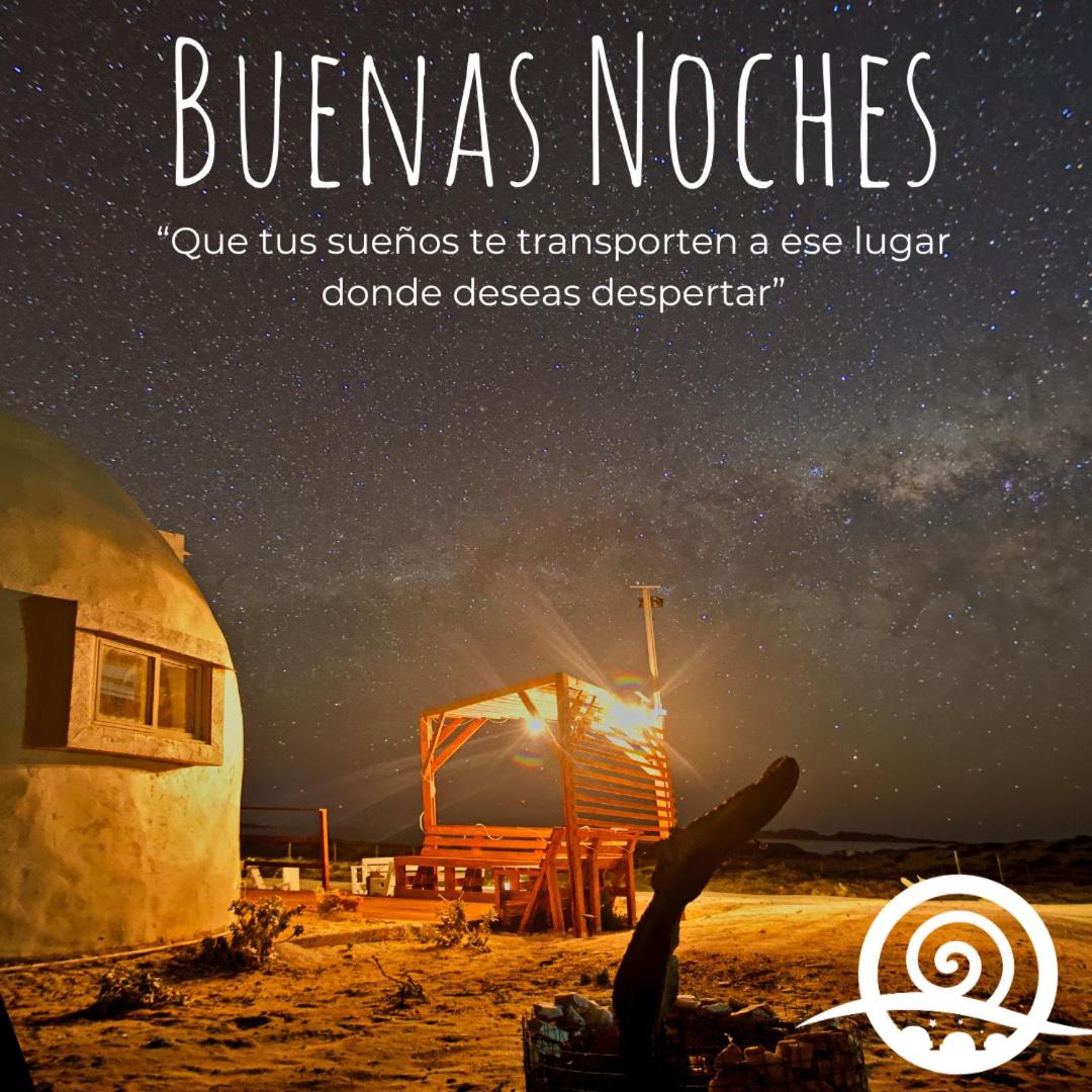Entre Dunas y Caracolas