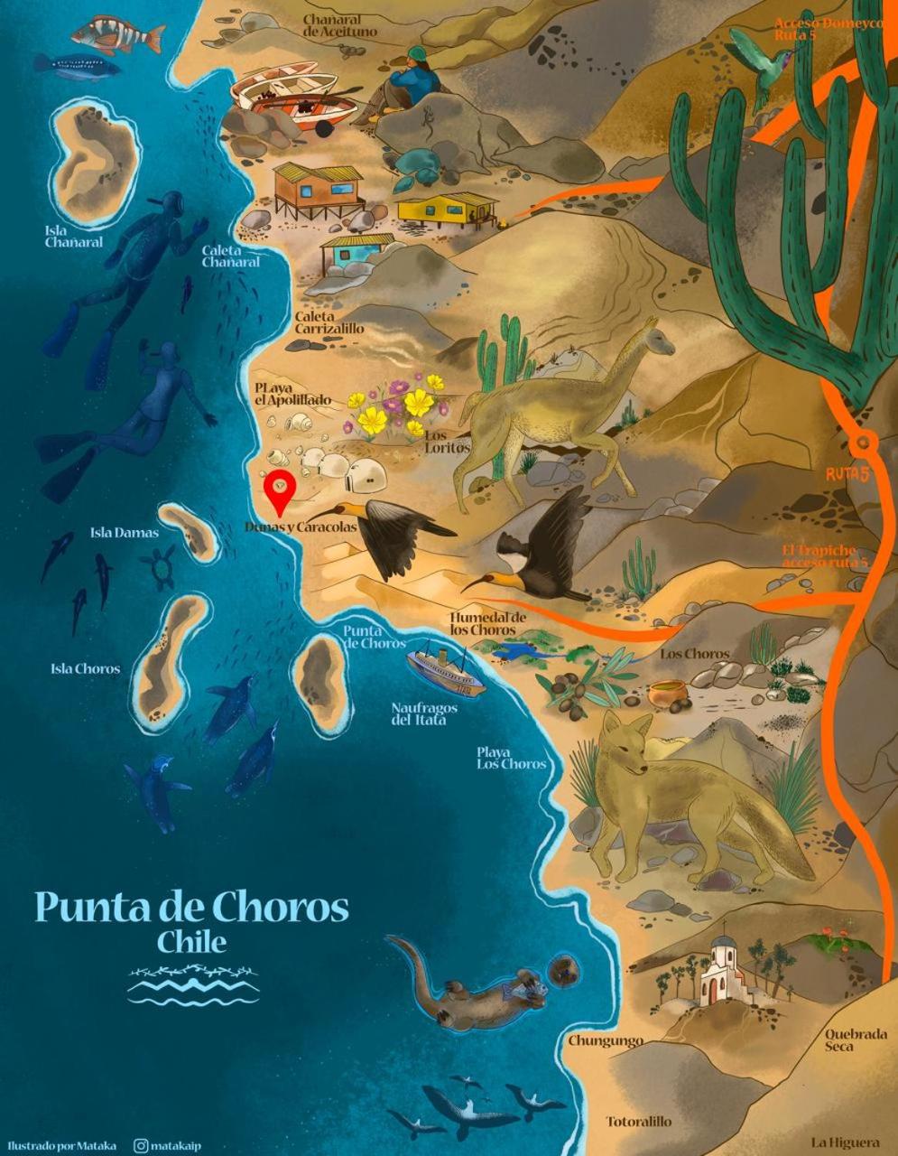 Entre Dunas y Caracolas