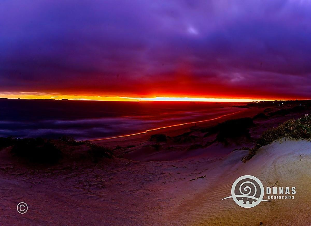 Entre Dunas y Caracolas