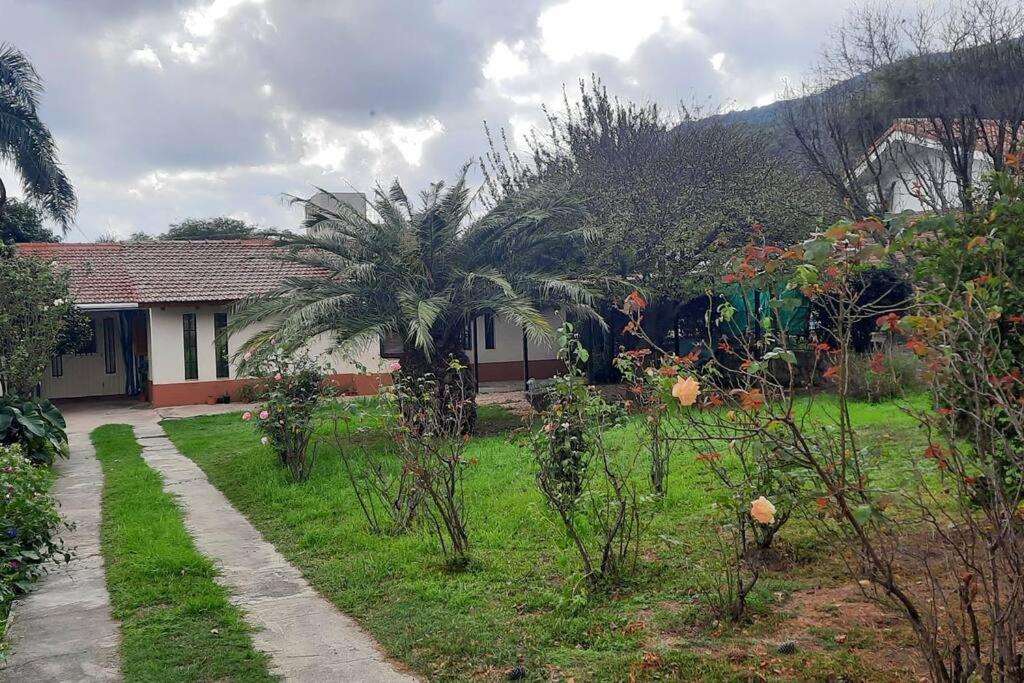 Las Camelias - chalet zona centro, aerosillas