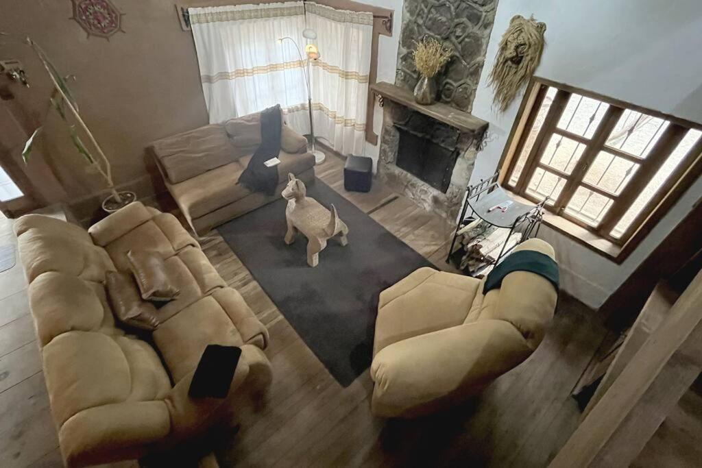 Photo 31
