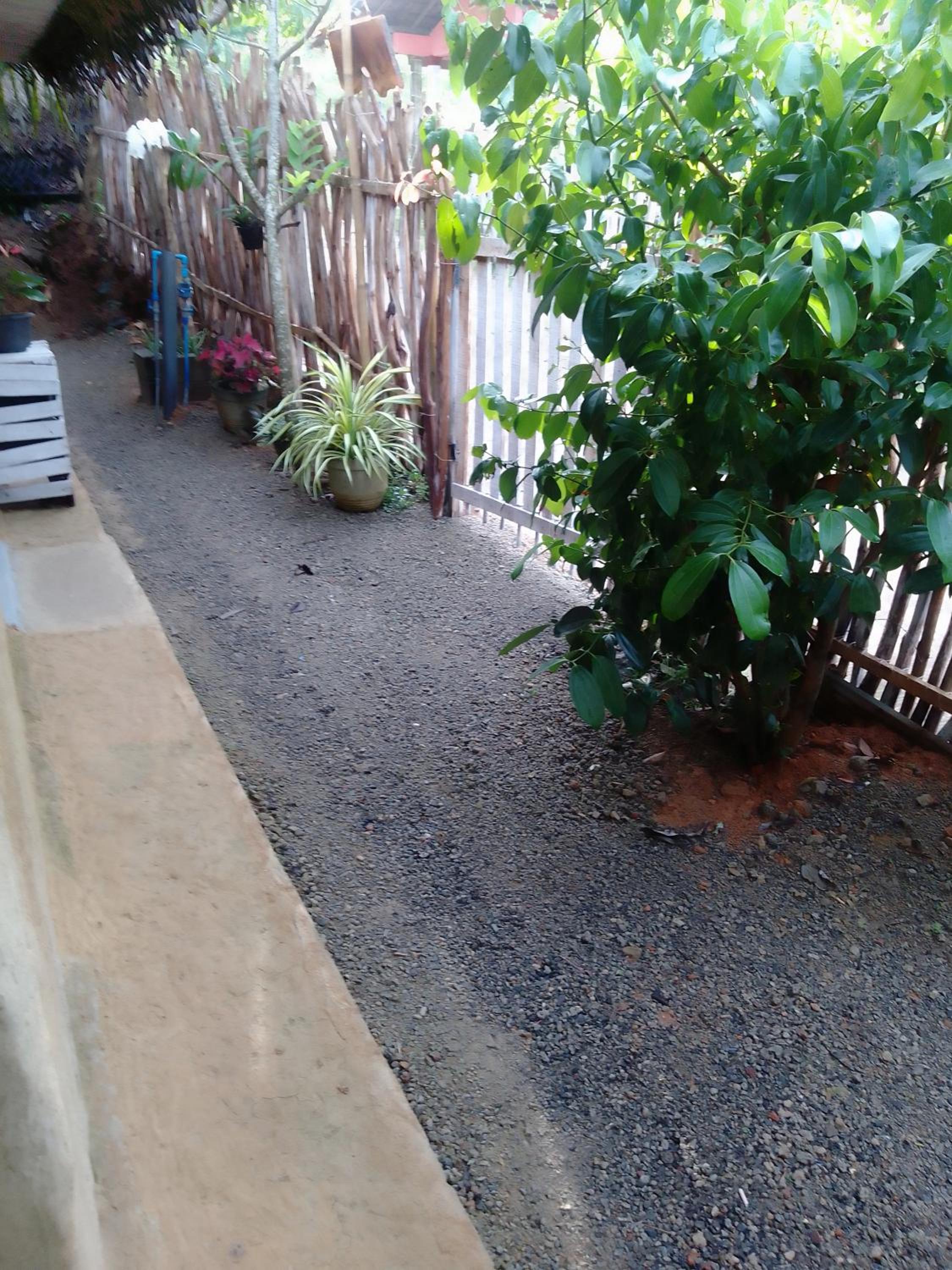 Photo 33