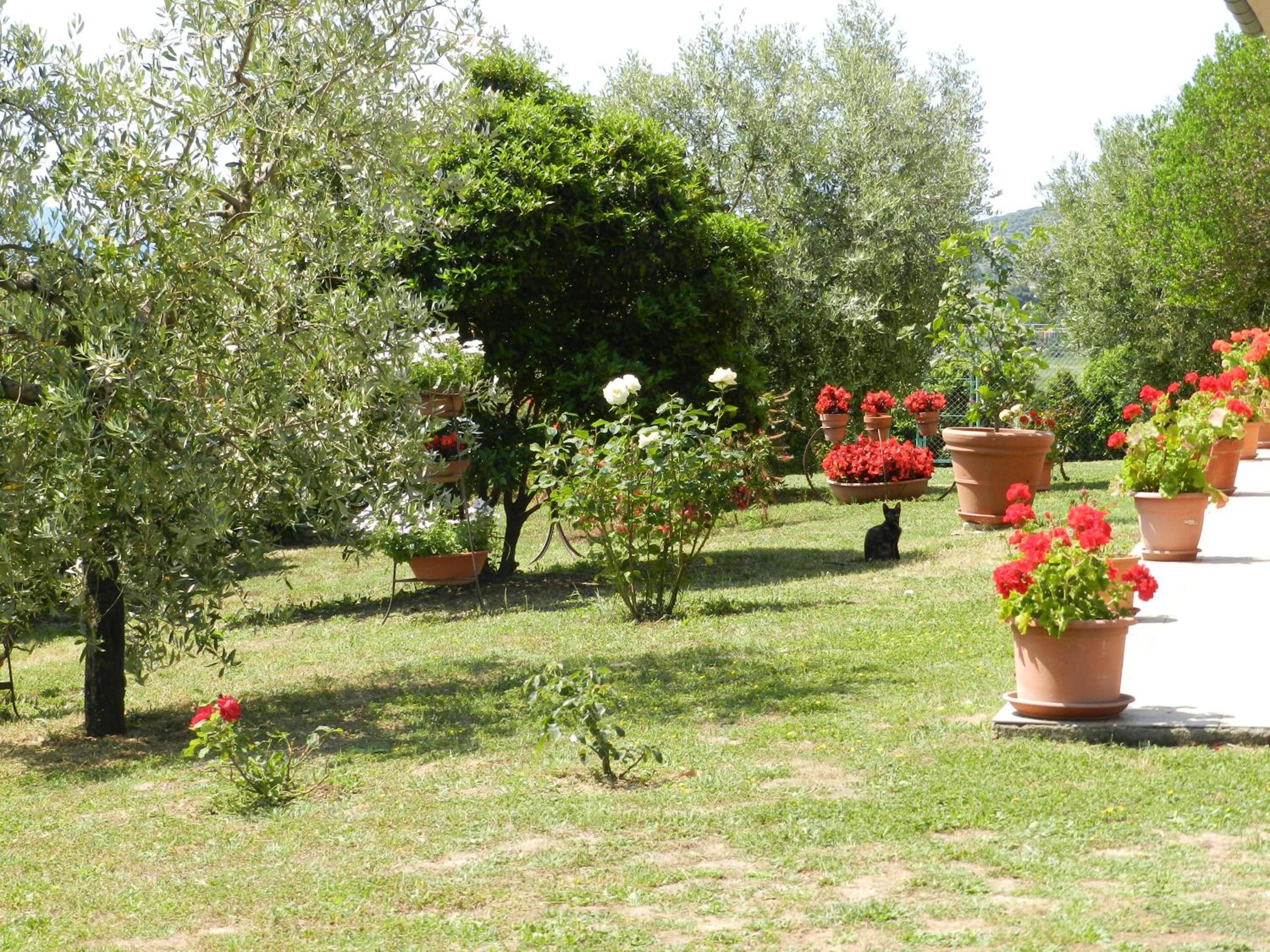 Agriturismo Severini