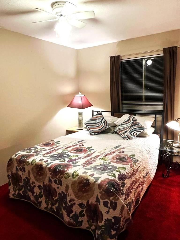 Budget Room 79 CAD Only- Hurry, Year End Sale- Last 3 Days
