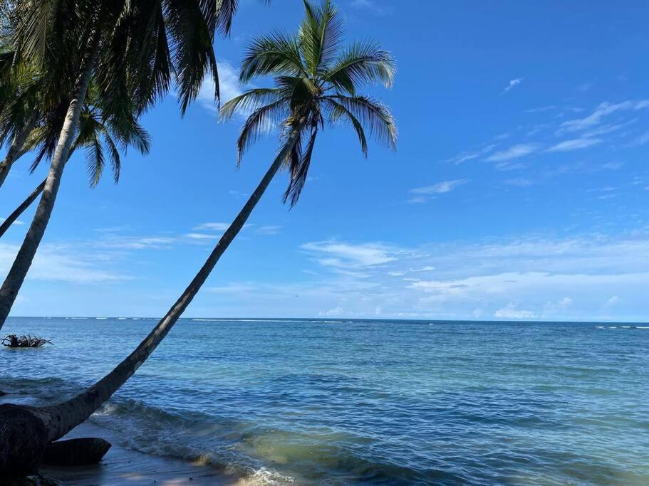 Casa Agua Viva