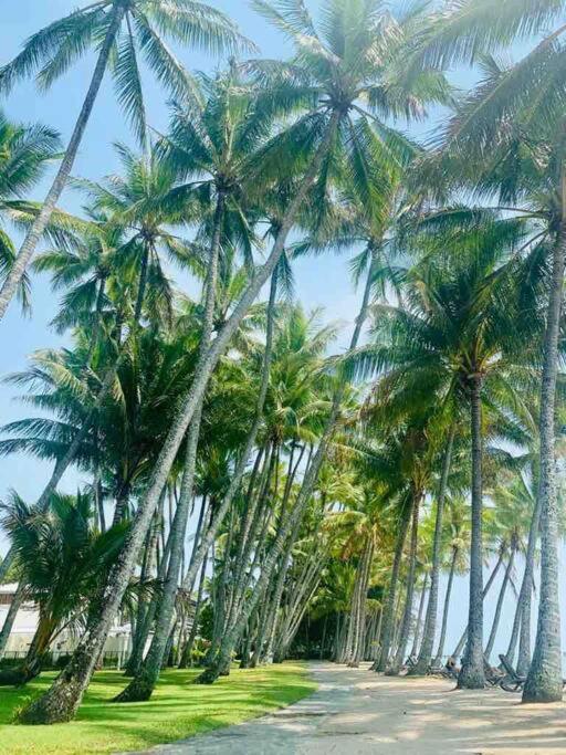 Relaxing Family retreat in Palm Cove - Aurelia