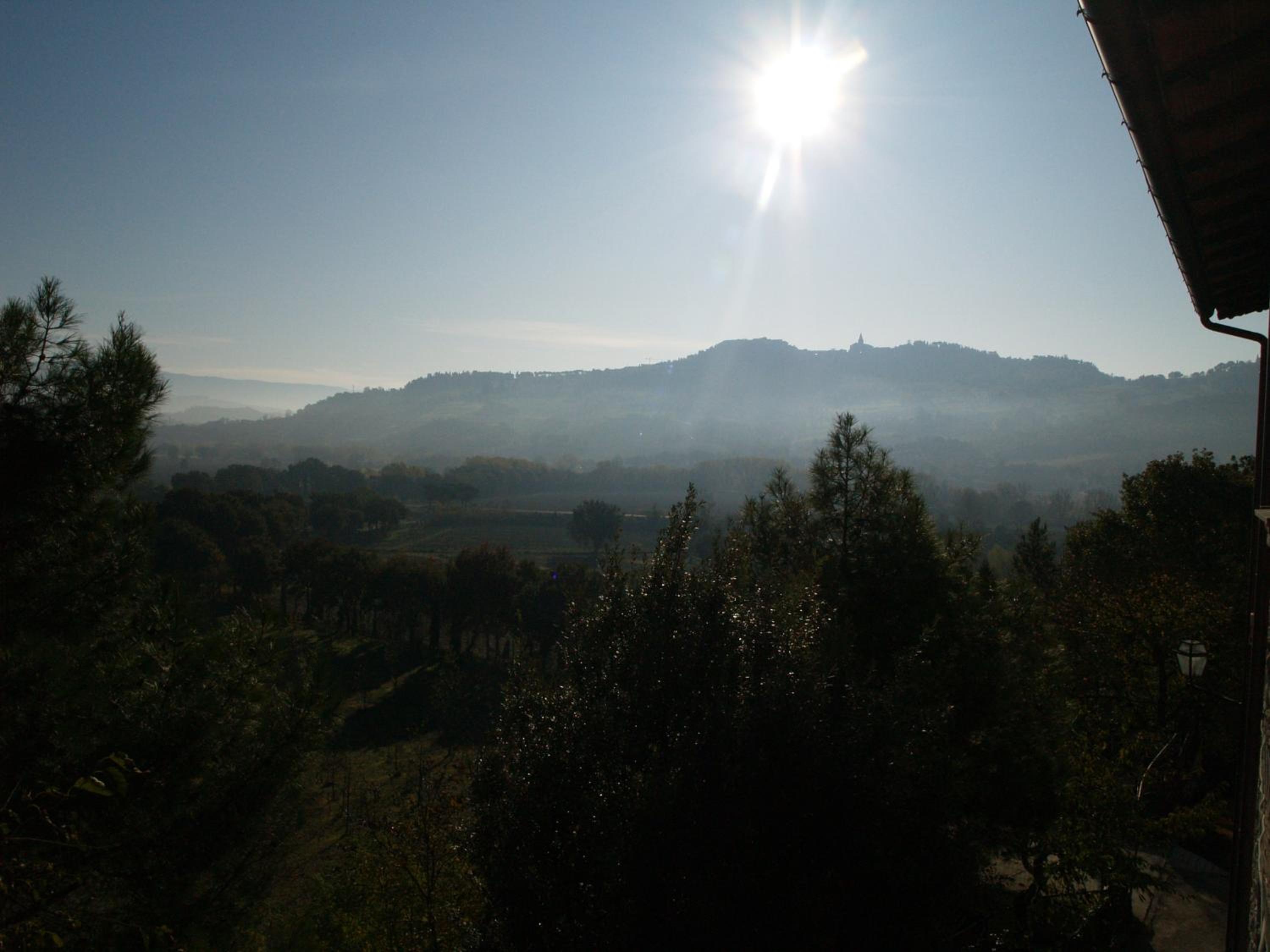 Photo 43