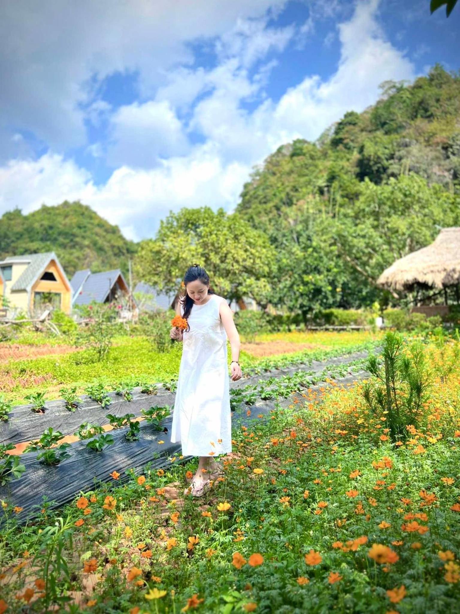 Vườn An nhiên Mộc Châu view 3